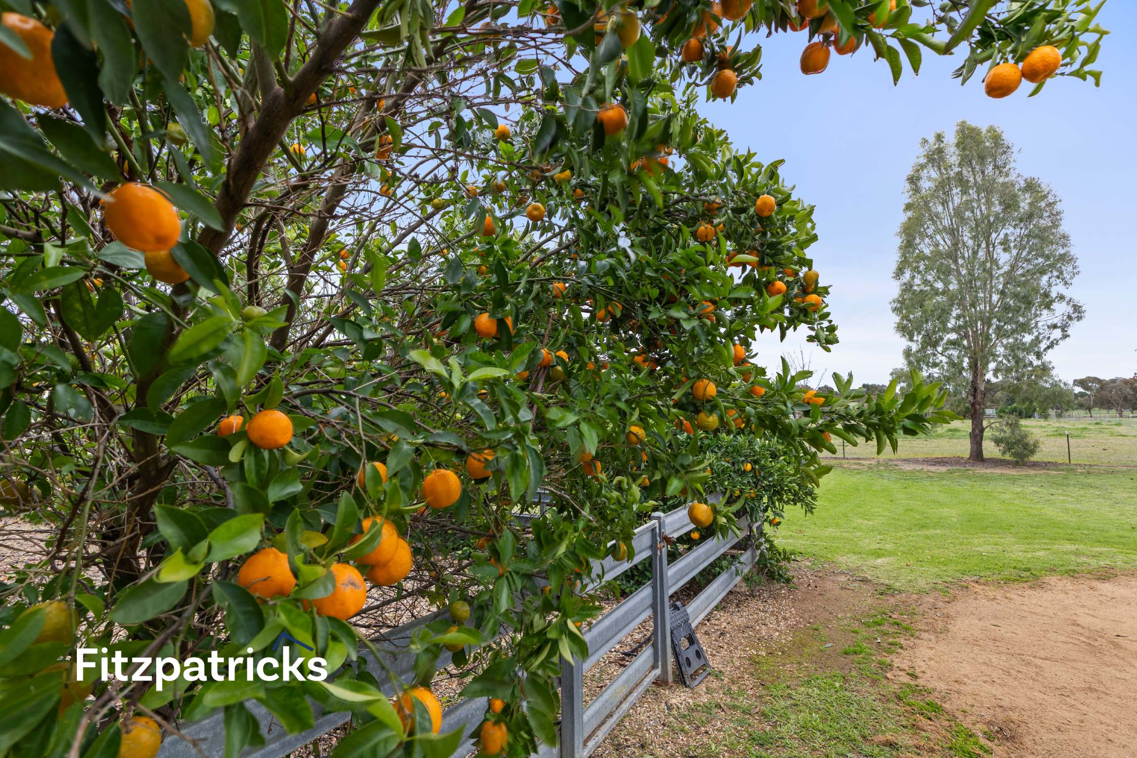 3-bedroom house at 62 Rosevale Drive, Lake Albert, NSW 2650, Wagga Wagga, New South Wales