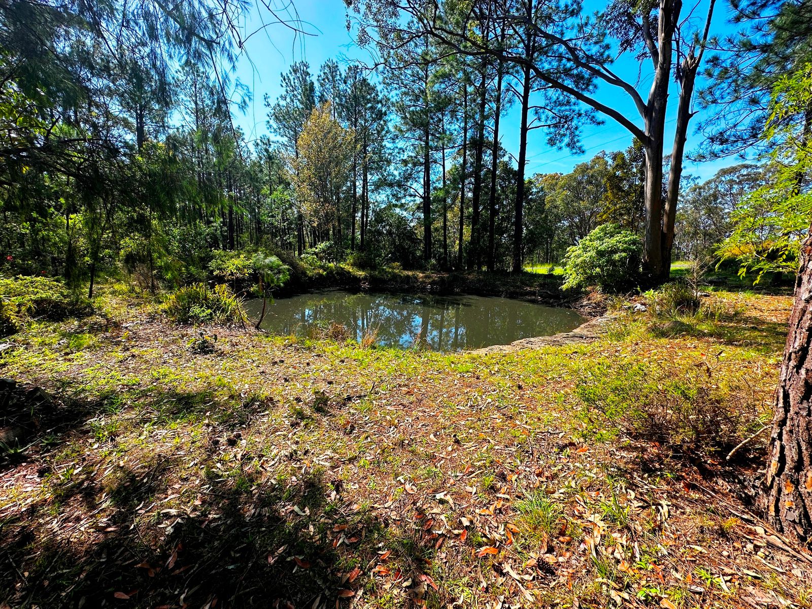 88 Clarke Street, Pindimar, Nsw, 2324 - Image 3