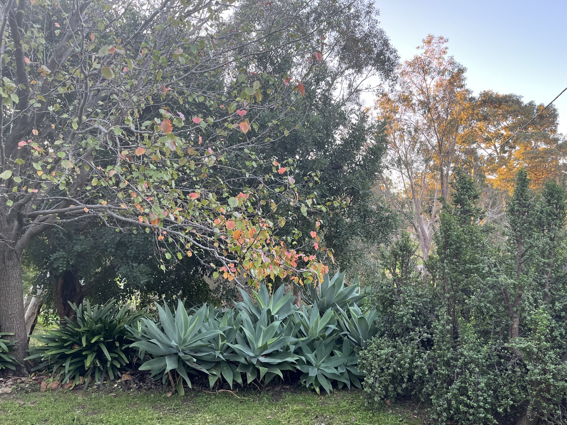 3-bedroom house at 18 Waylen Road, Darlington, WA 6070, Mundaring, Western Australia