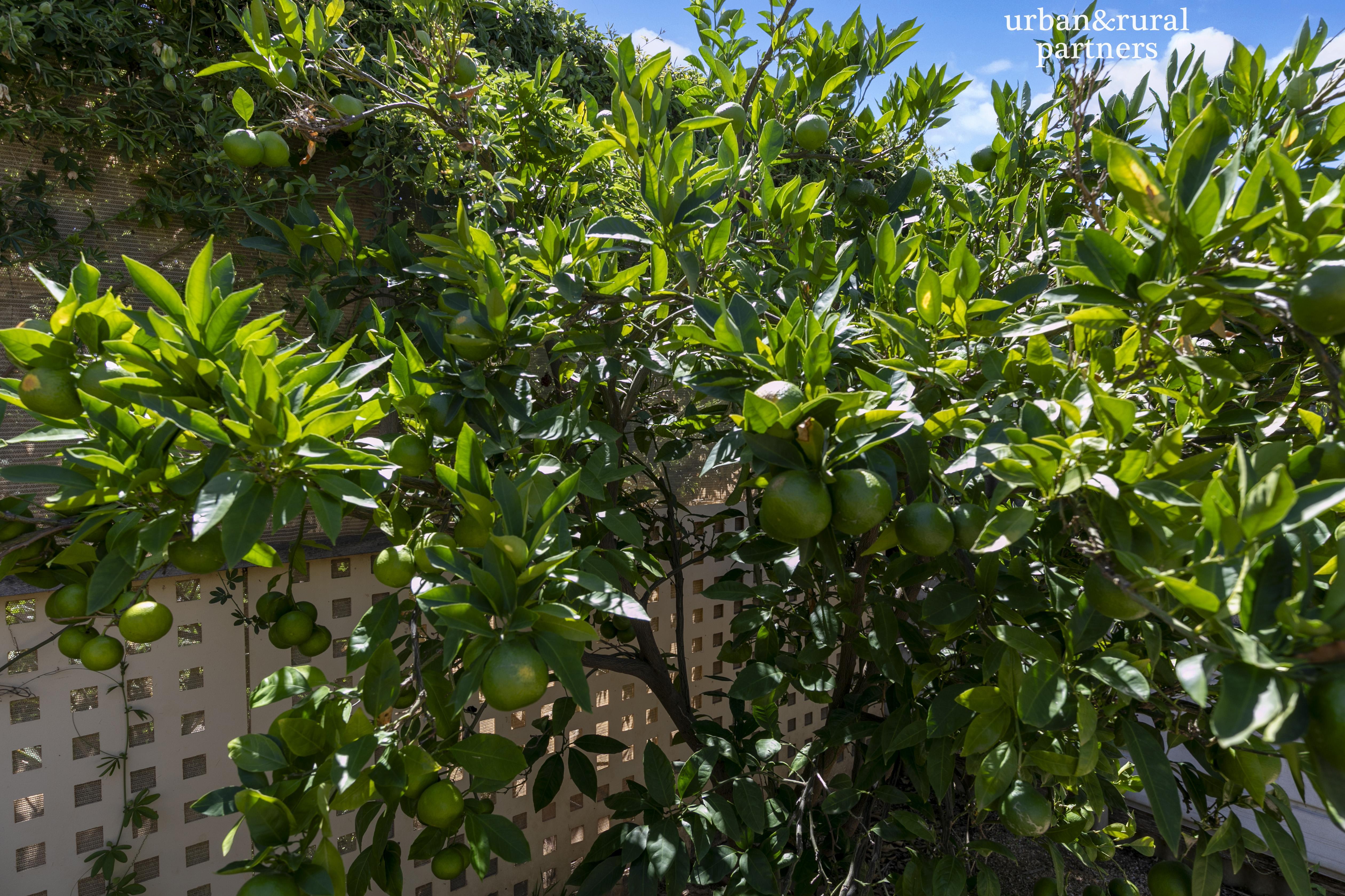 4-bedroom house at 17 GOUGE STREET, Morgan SA 5320, Mid Murray, South Australia