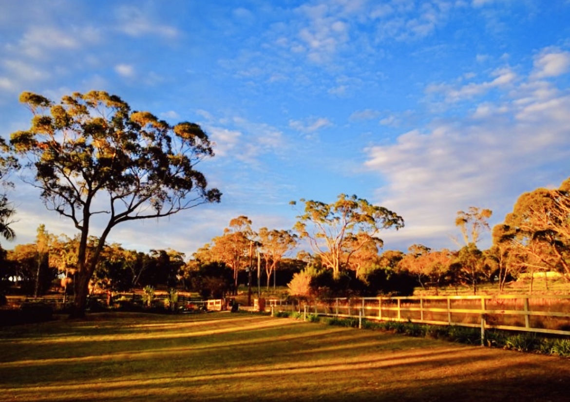 9-bedroom house at 63 Ghilkes Road, Somersby, NSW 2250, , New South Wales