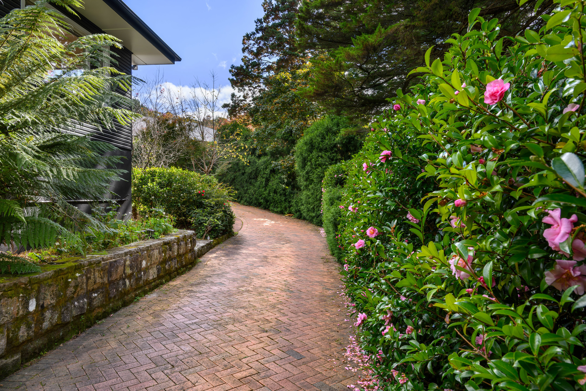 3-bedroom house at 116 Craigend Street, Leura, NSW 2780, Blue Mountains, New South Wales