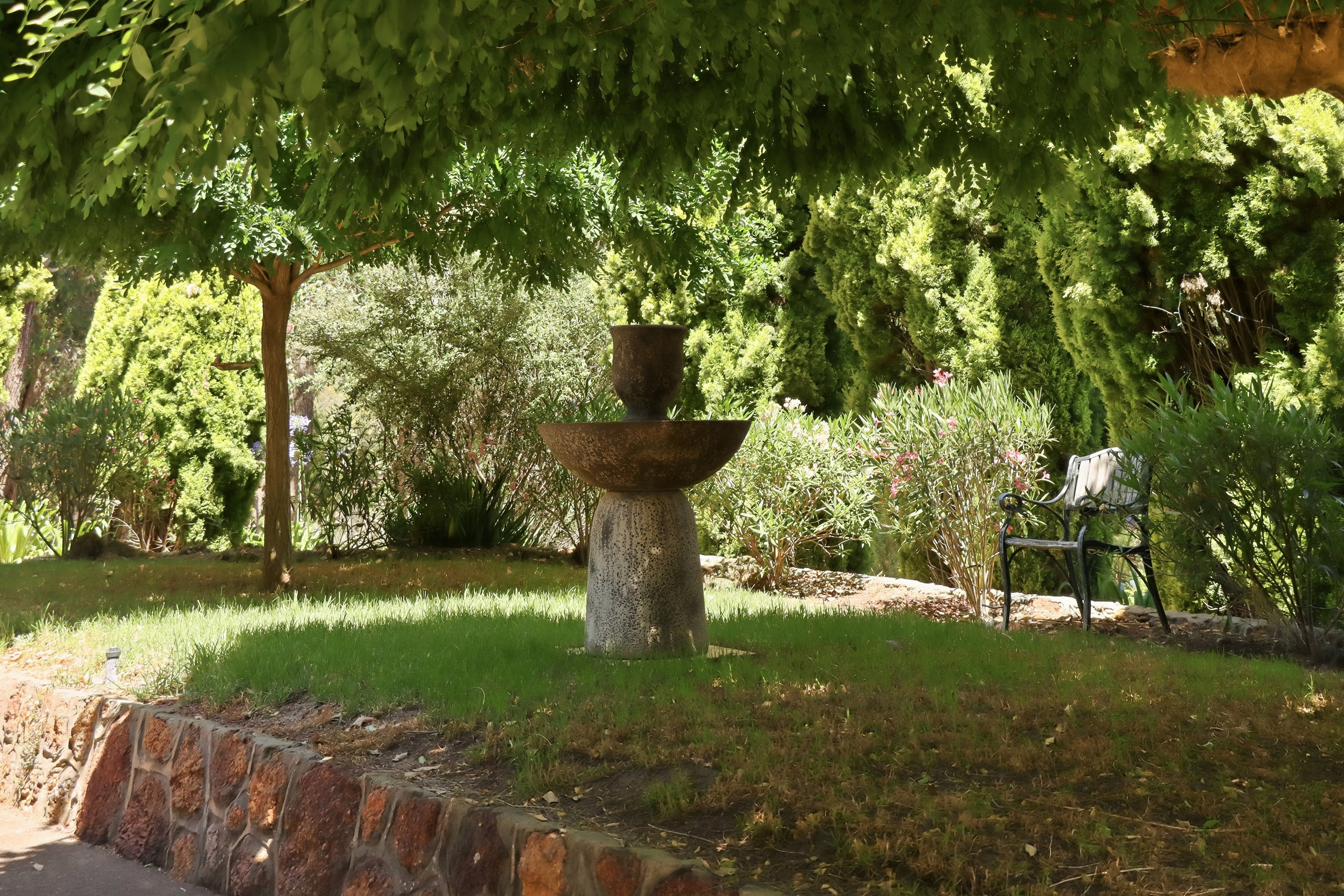 8 LOFTIE STREET, Bridgetown WA 6255 - Image 5