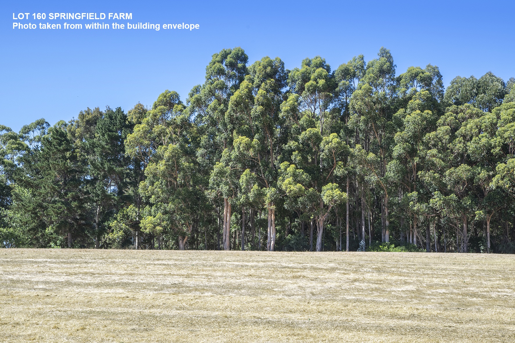 160 Springfield Farm, Yallingup, Wa, 6282 - Image 3