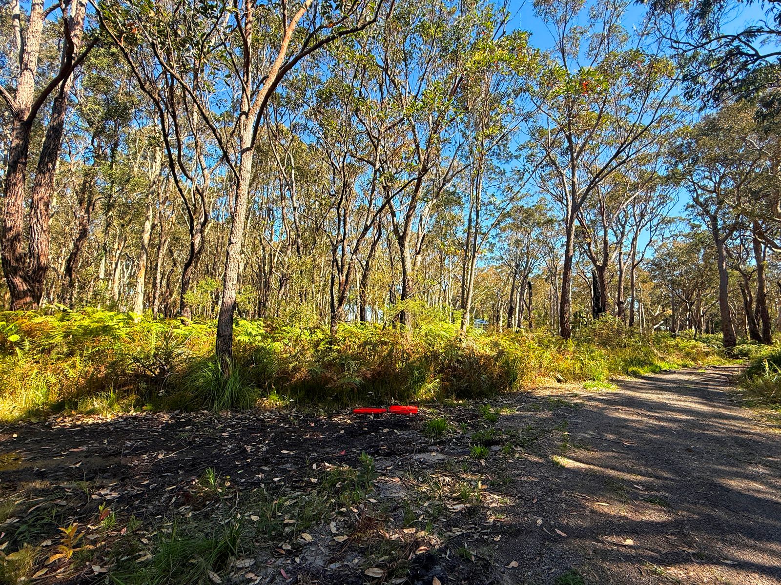 Lot 2 Challis Street, Pindimar, Nsw, 2324 - Image 2