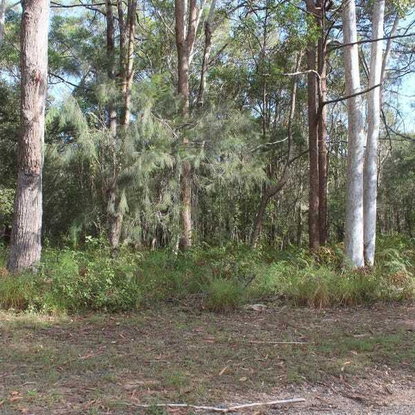 10 Bamberry St, Russell Island, Qld, 4184 - Image 1