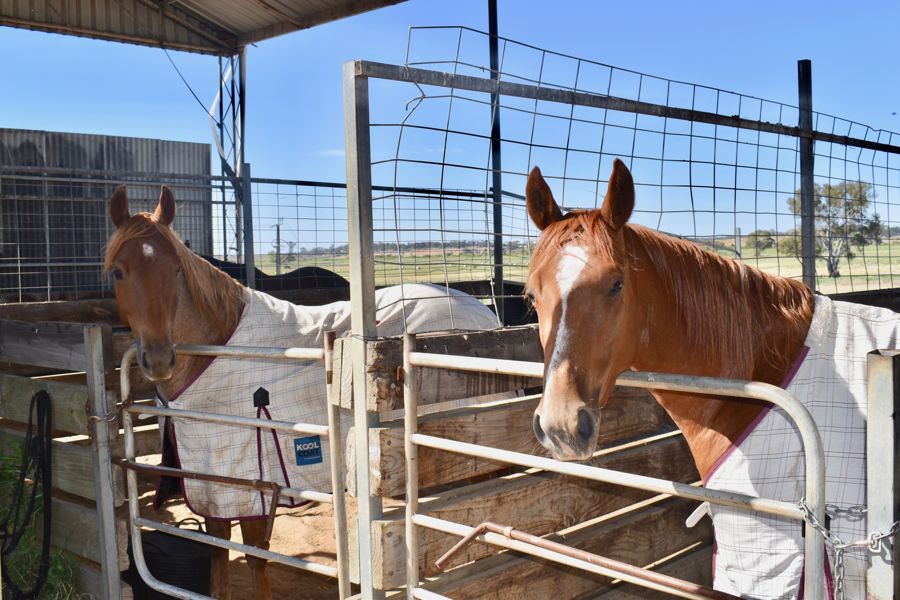 4-bedroom house at 249 The Point Road, Jervois, Sa, 5259, Murray Bridge, South Australia