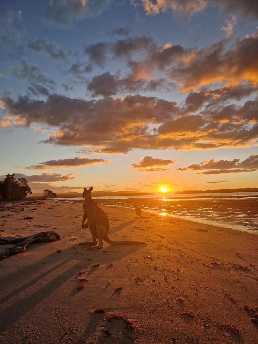 3-bedroom house at Eco Cabin Island Street, Couran Cove Resort, South Stradbroke, Qld, 4216, Gold Coast, Queensland