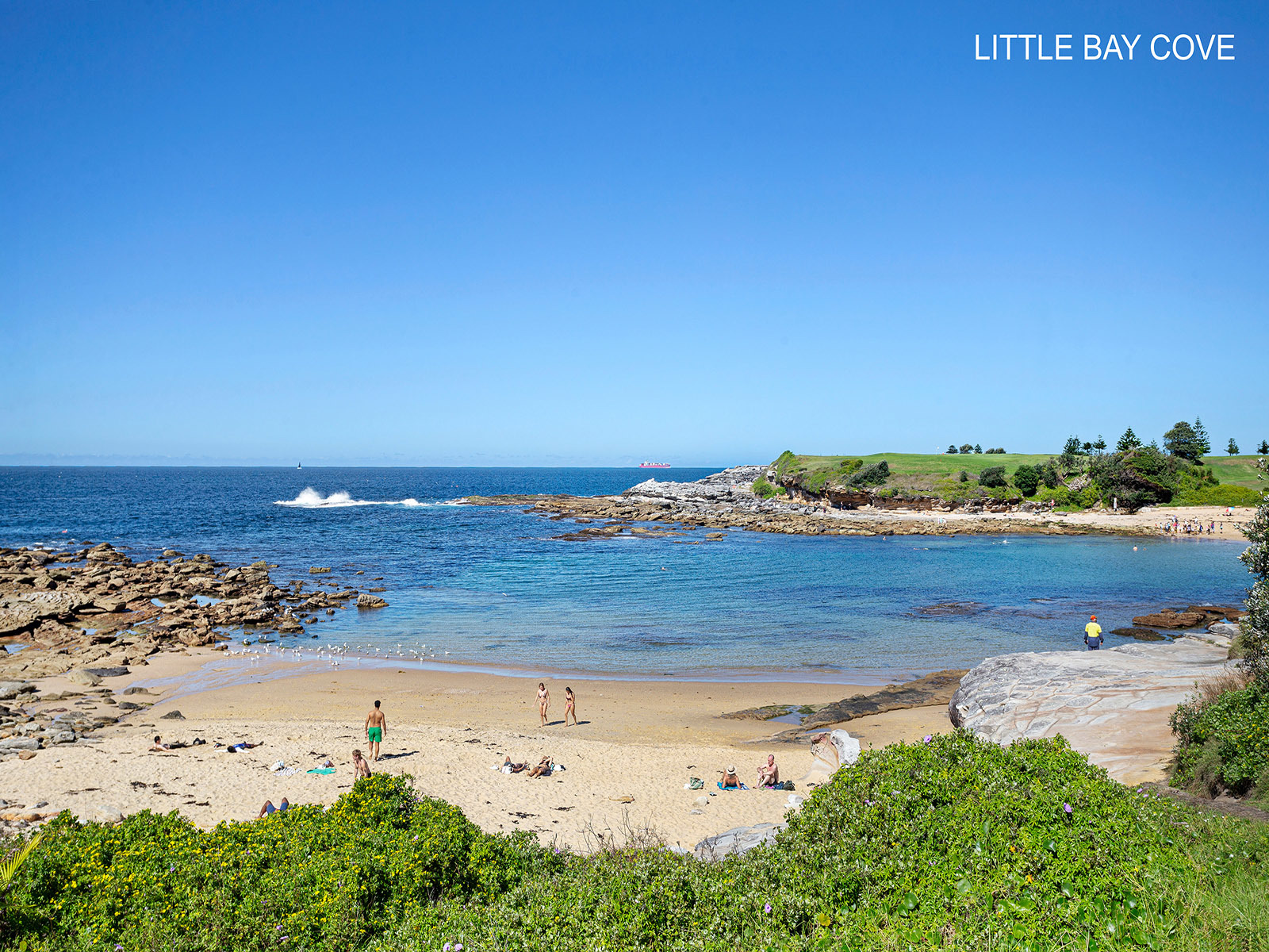 2-bedroom unit at 50/6 Millard Drive, Little Bay, NSW 2036, Randwick, New South Wales