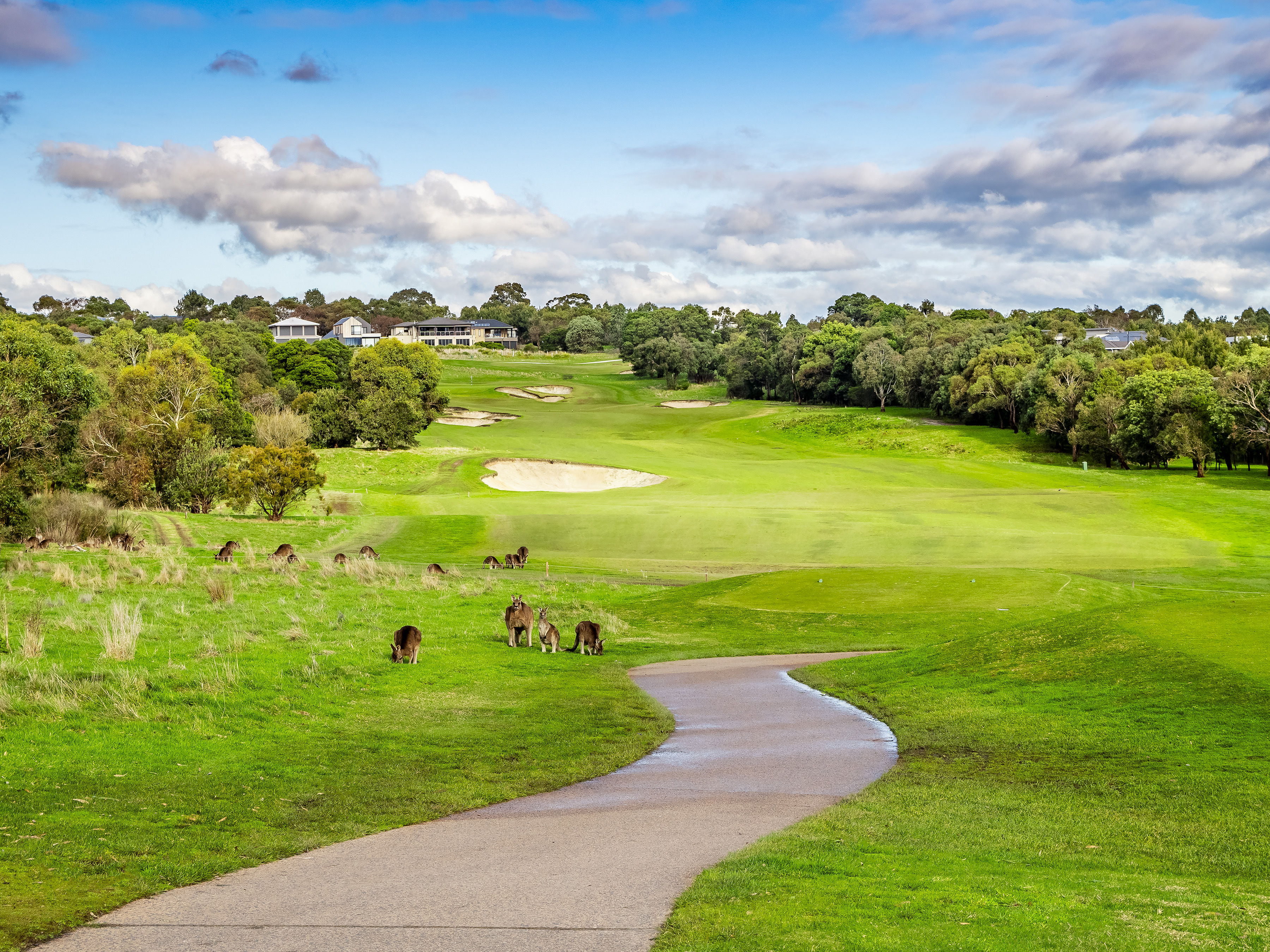 3-bedroom house at 25 Royal St. Georges Chase, Botanic Ridge, Vic, 3977, Casey, Victoria