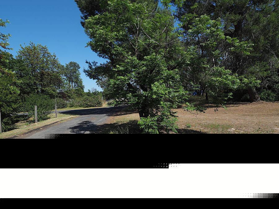 3-bedroom house at 91 High Street, Warialda, NSW 2402, Gwydir, New South Wales