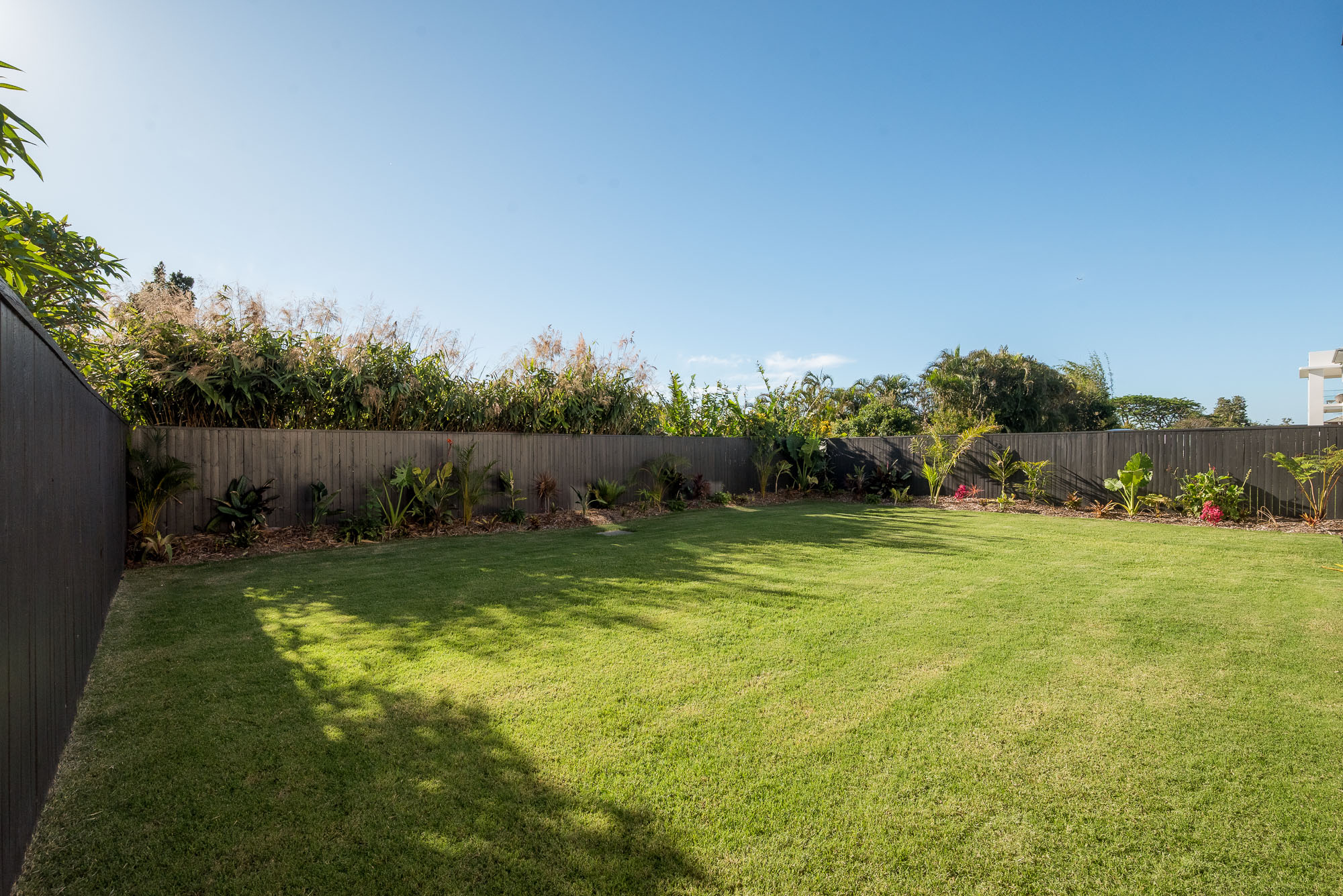 55 FINGAL STREET, Tarragindi QLD 4121 - Image 4