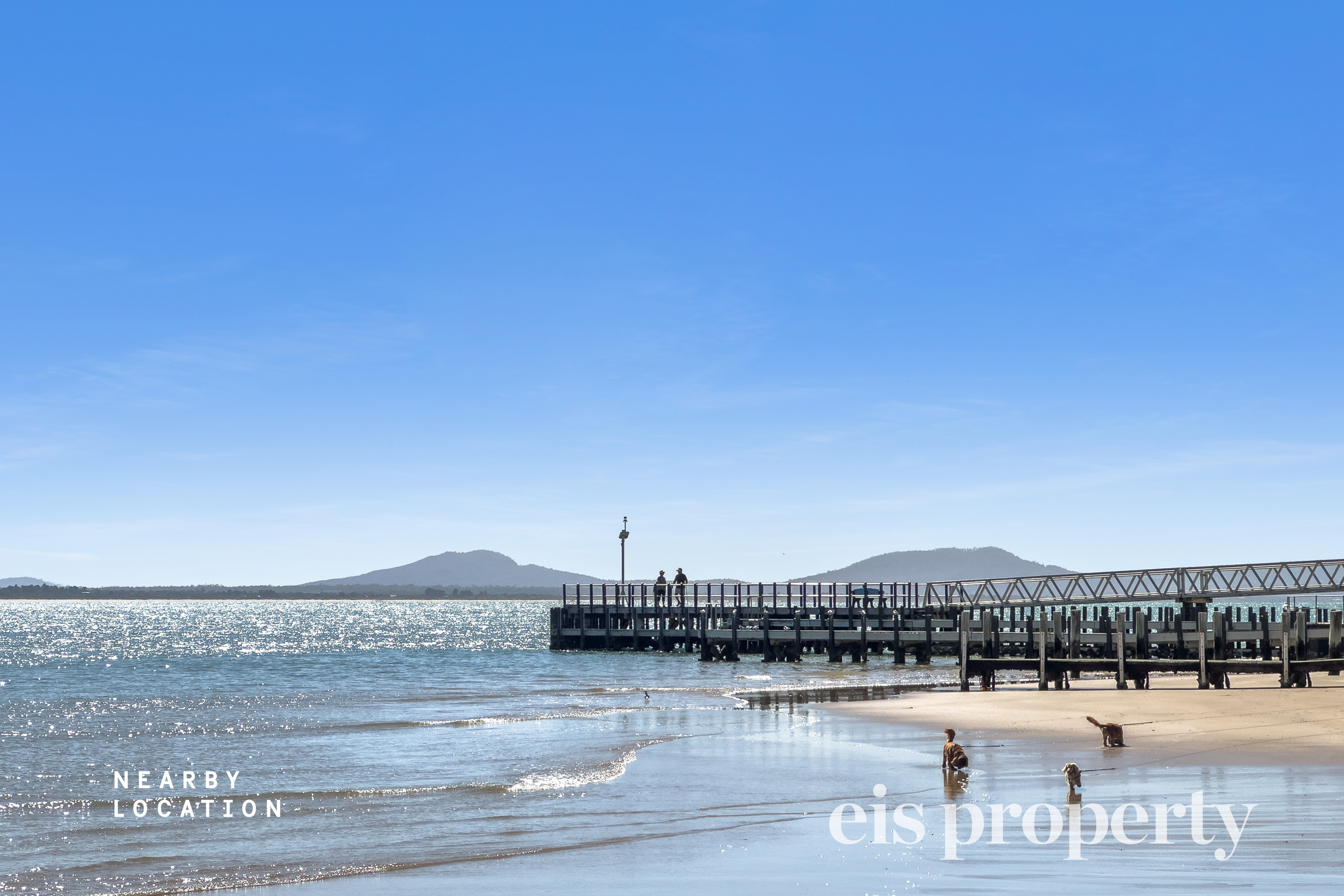 6 Syntax Court, Swansea, Tas, 7190 - Image 9