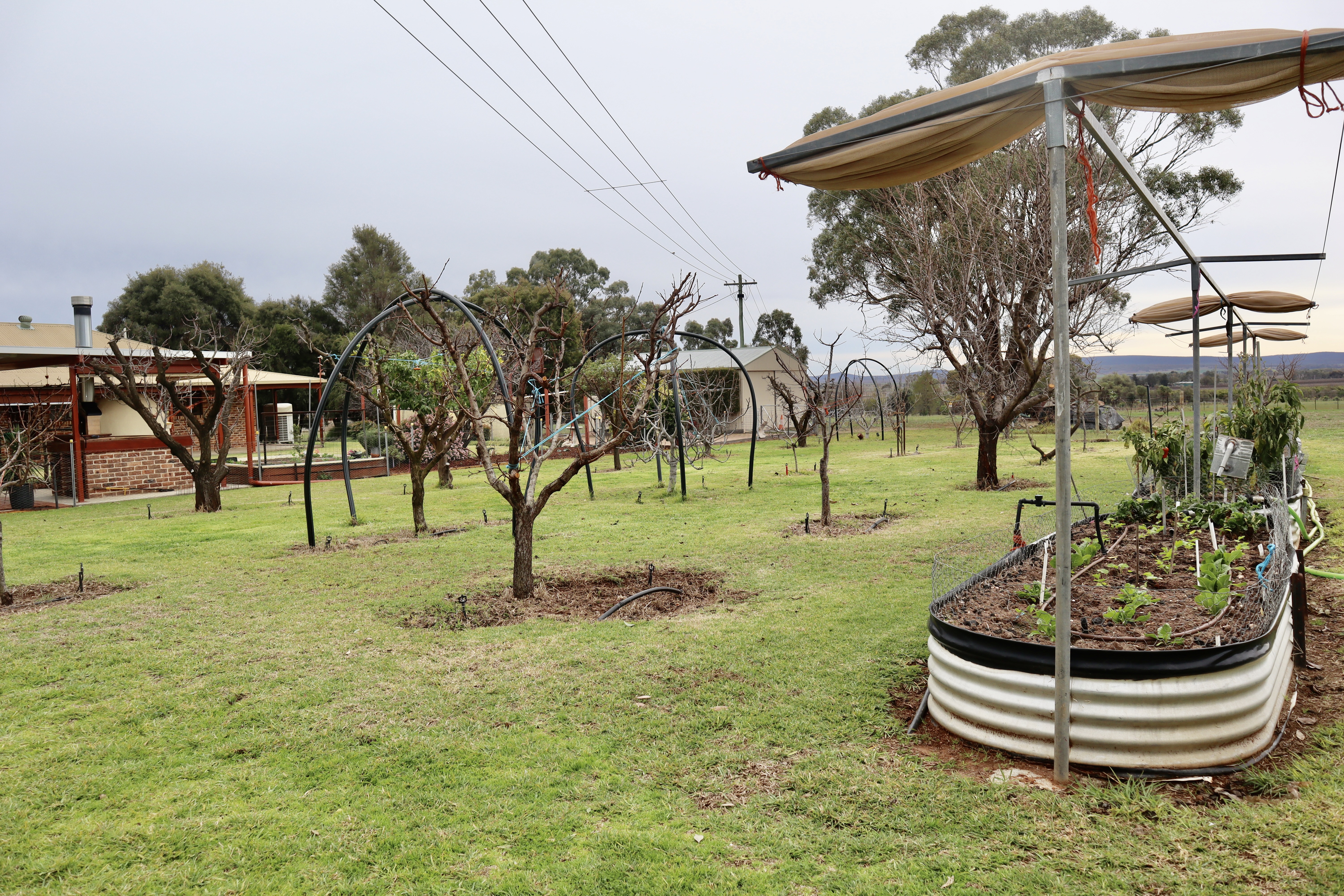 4-bedroom house at 114 Tabain Rd, Merungle Hill, Nsw, 2705, Leeton, New South Wales