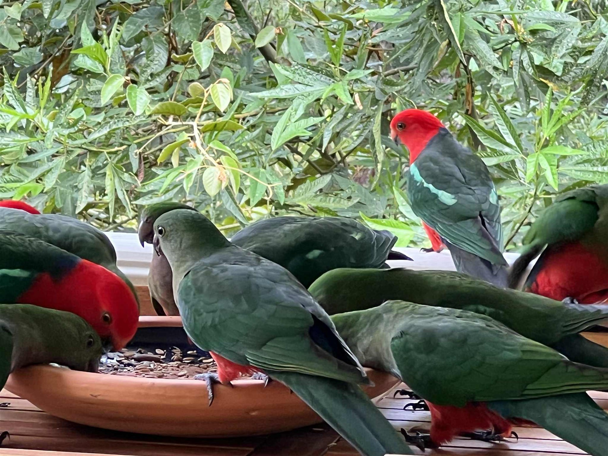 6-bedroom house at 20A/1953 Chichester Dam Road, Bandon Grove, NSW 2420, Dungog, New South Wales