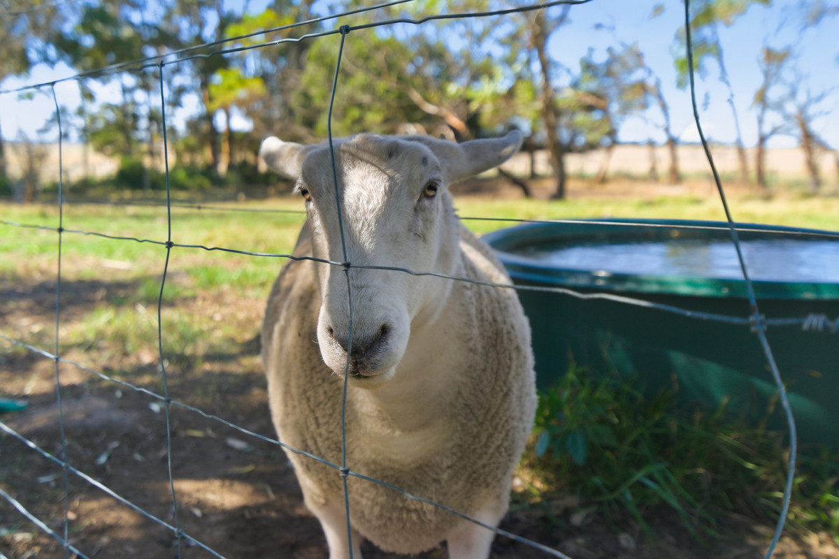 3-bedroom house at 322 Toolong Road, Toolong, Vic, 3285, Moyne, Victoria