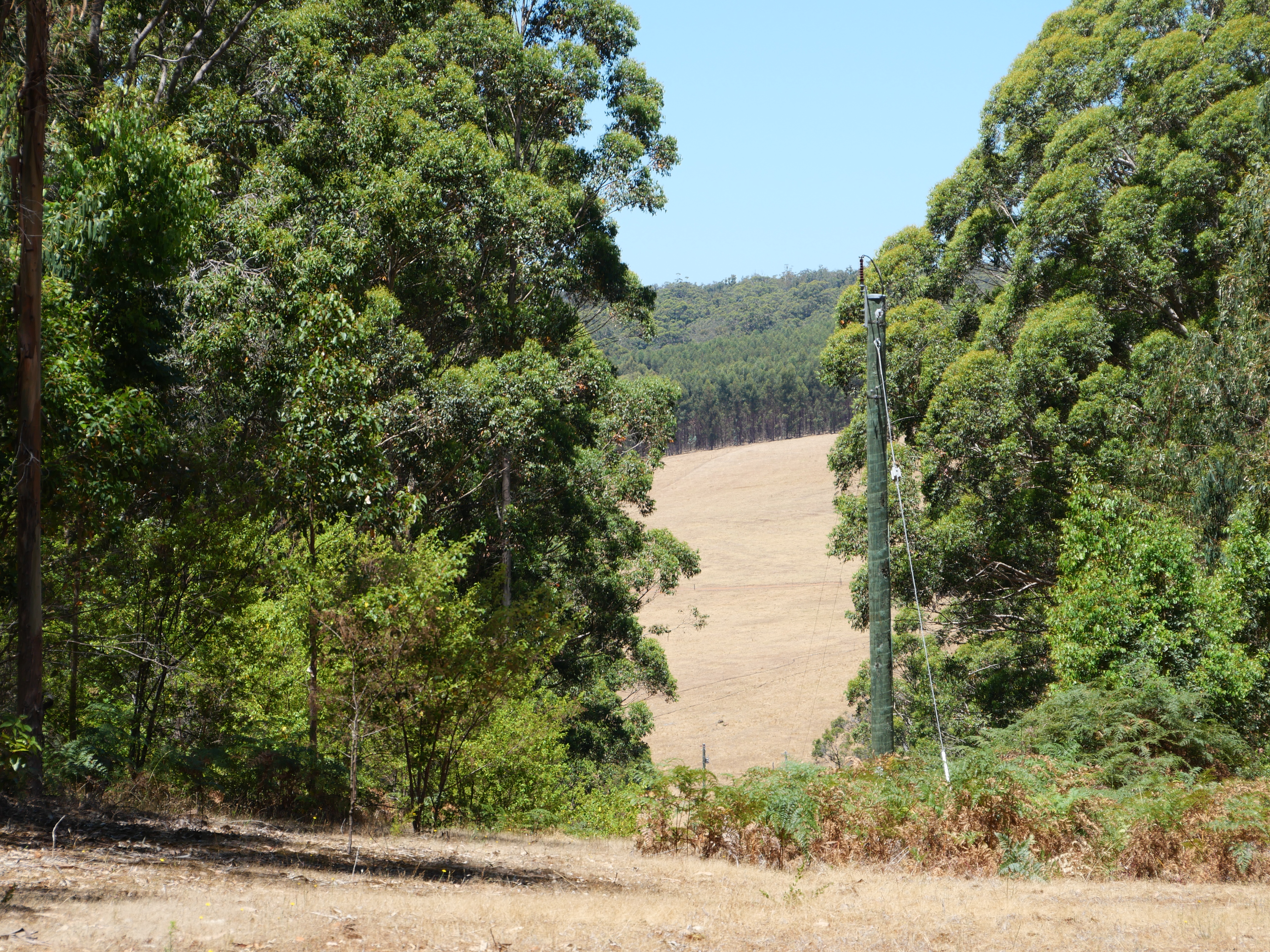 1-bedroom unit at 61 Hayes Road, East Nannup, WA 6275, Nannup, Western Australia