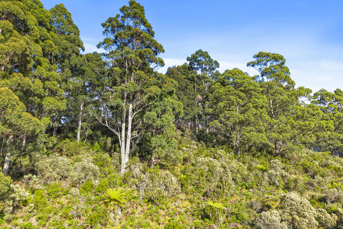 3 Nicholls Rivulet Road, Nicholls Rivulet, Tas, 7112 - Image 7