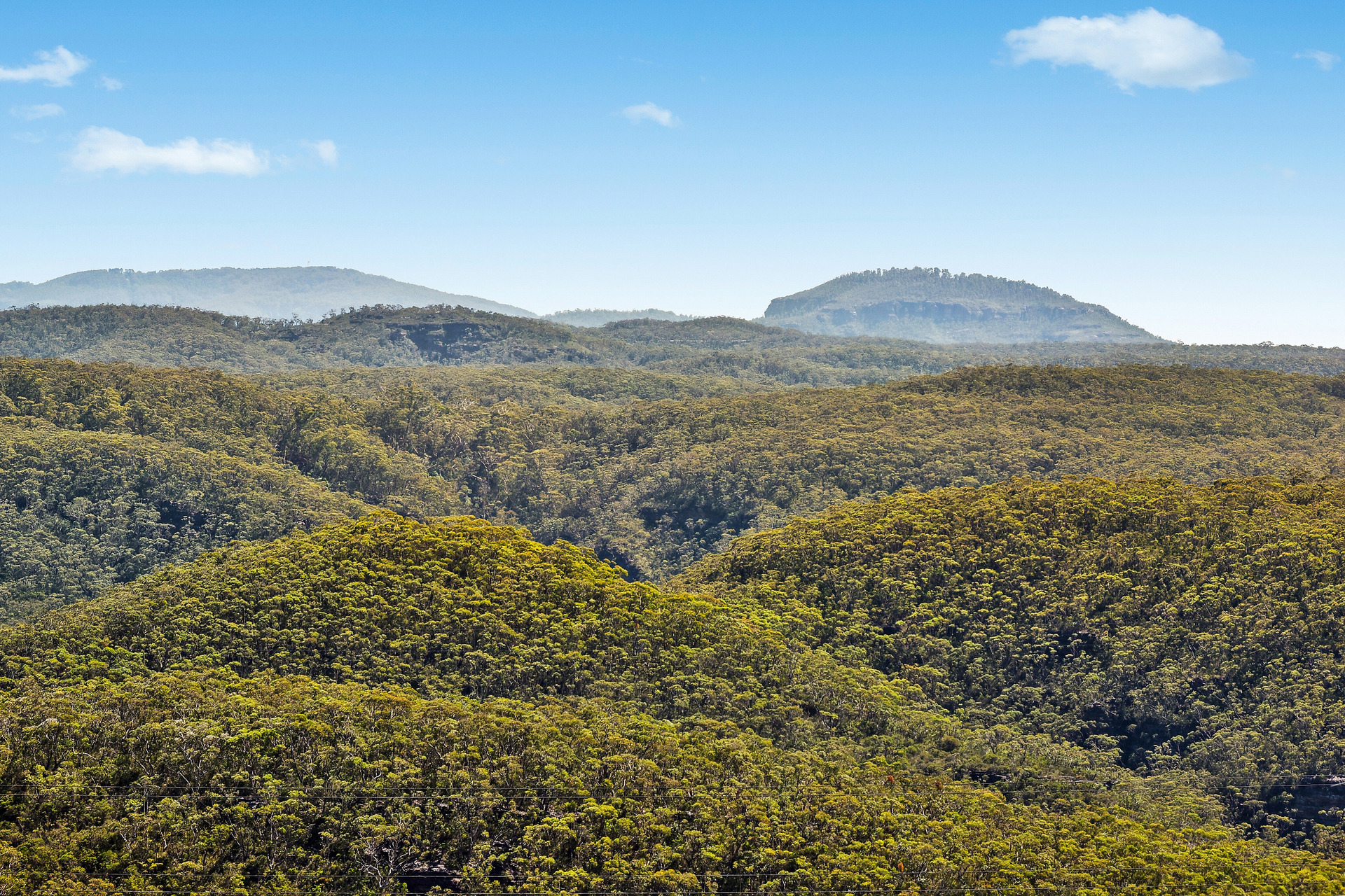 36 TARELLA ROAD, Wentworth Falls NSW 2782 - Image 6