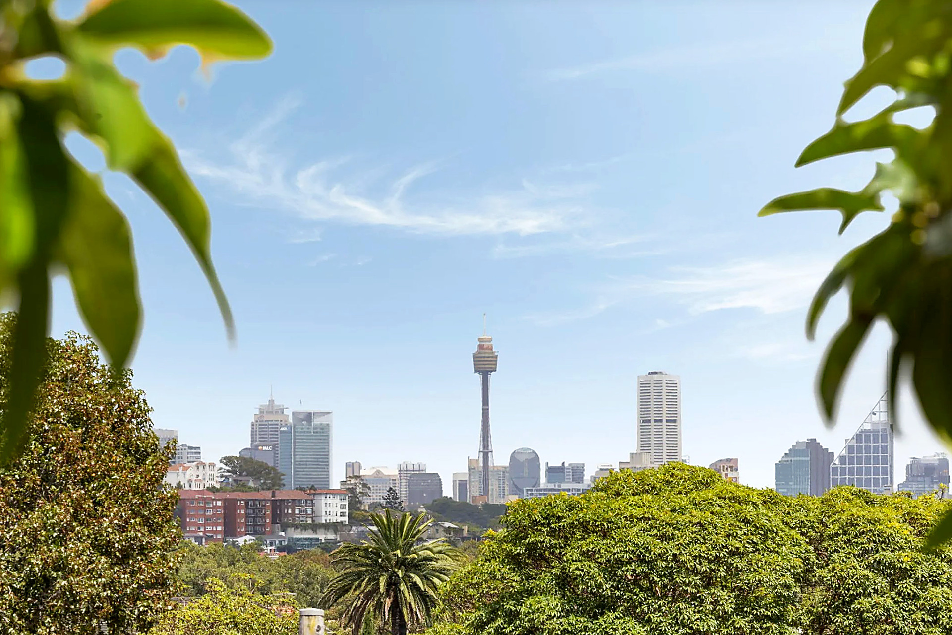 9/33 Hamilton Street, Rose Bay, NSW 2029 - Image 9