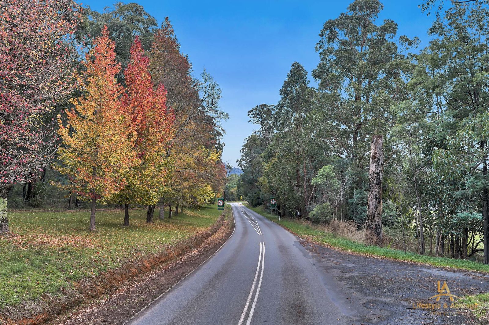 3 Paul Chase , Marysville, Vic, 3779 - Image 9