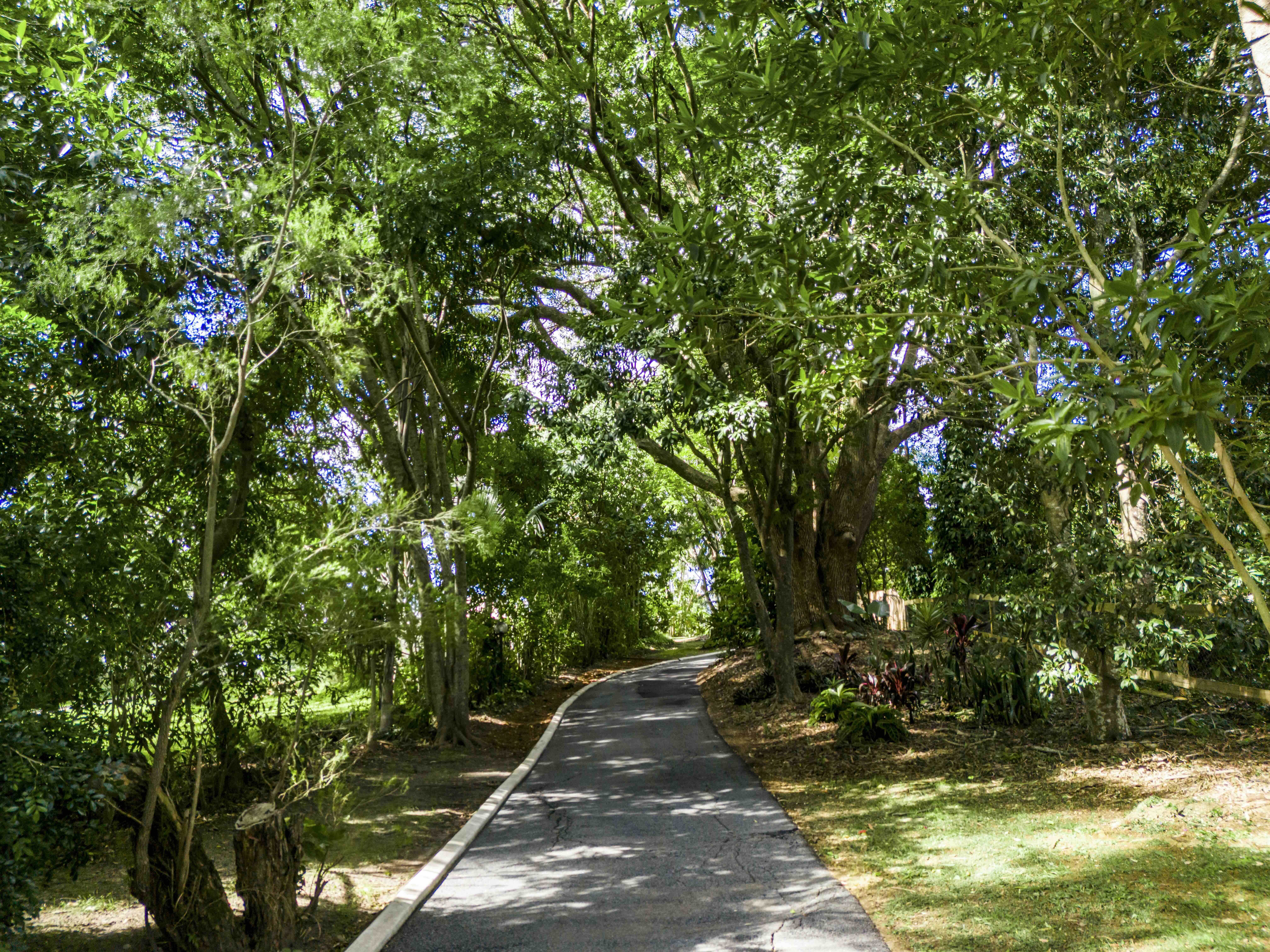 16 BONGAREE ROAD, Terranora NSW 2486 - Image 4