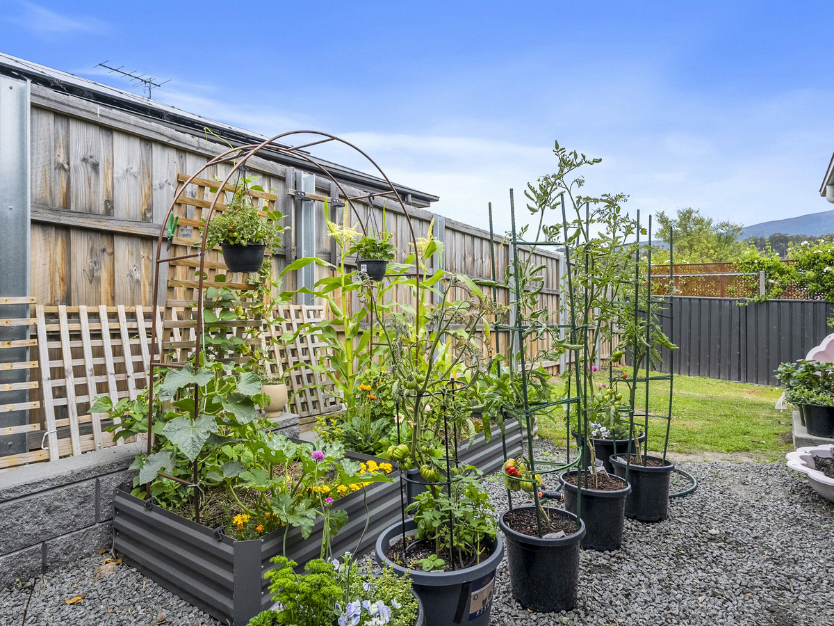 3-bedroom house at 66 Eldridge Drive, Kingston, TAS 7050, Kingborough, Tasmania