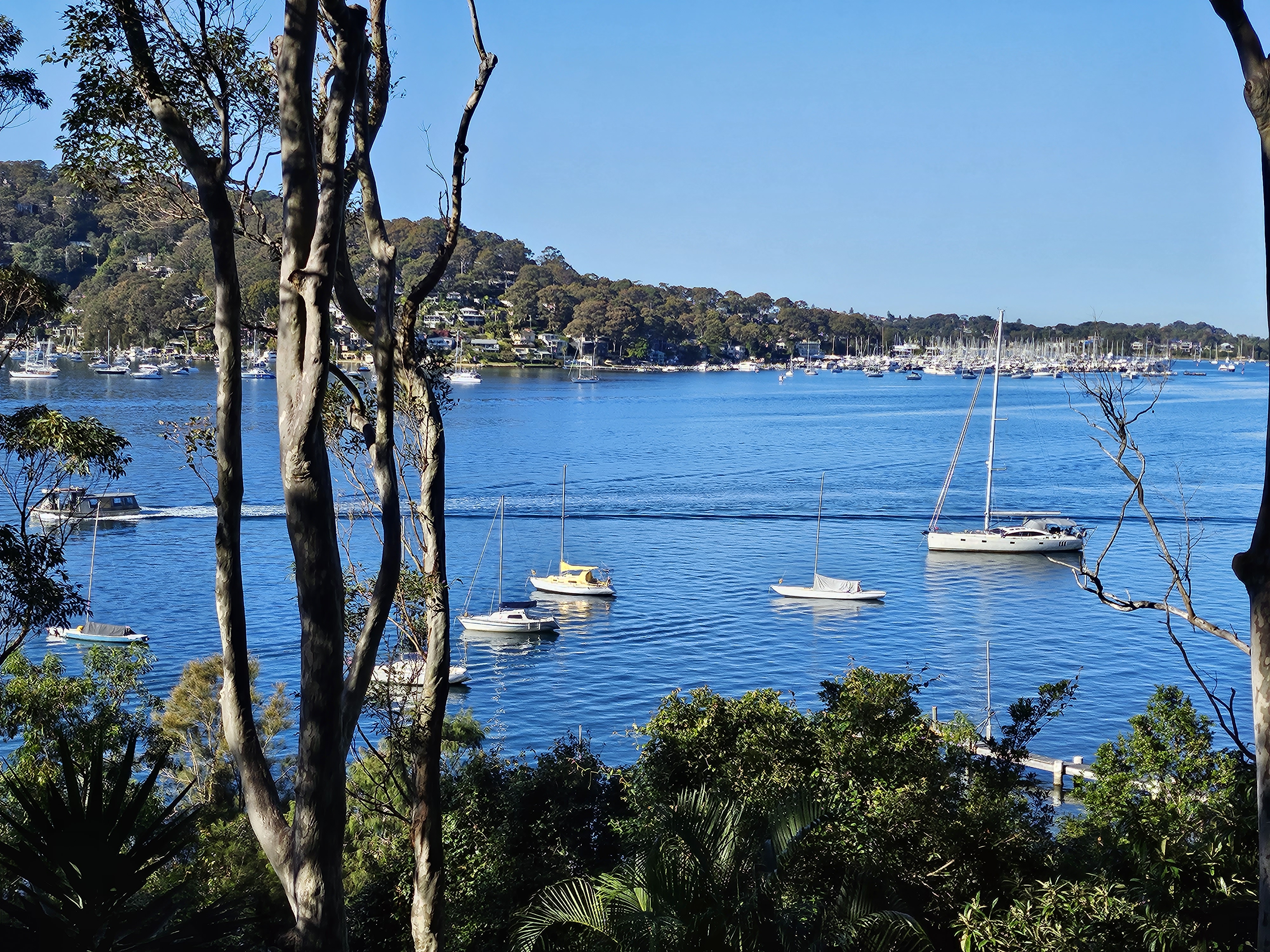 95 FLORENCE TERRACE, Scotland Island NSW 2105 - Image 3