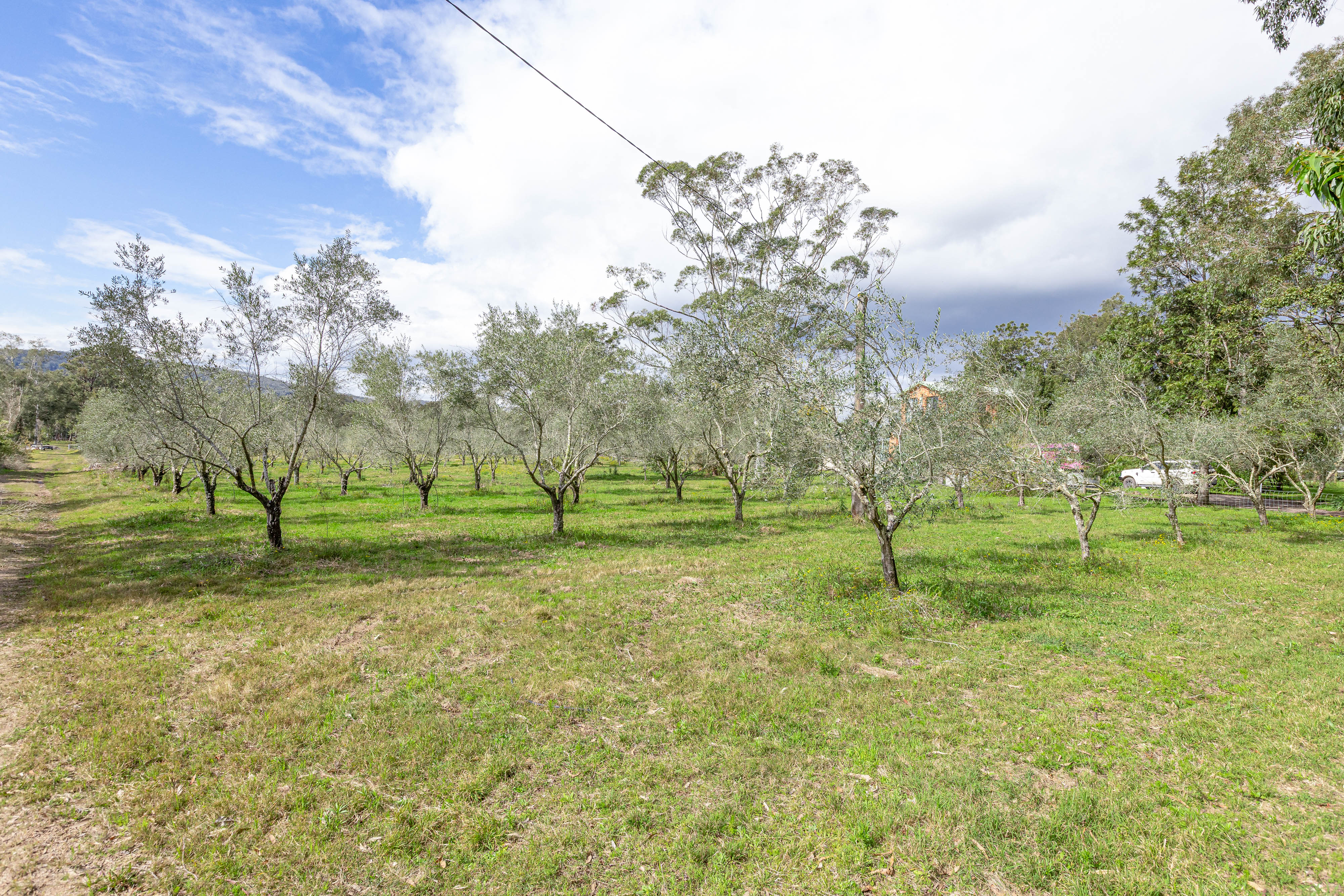 4-bedroom house at 124 Duns Creek Road, Duns Creek, Nsw, 2321, Port Stephens, New South Wales