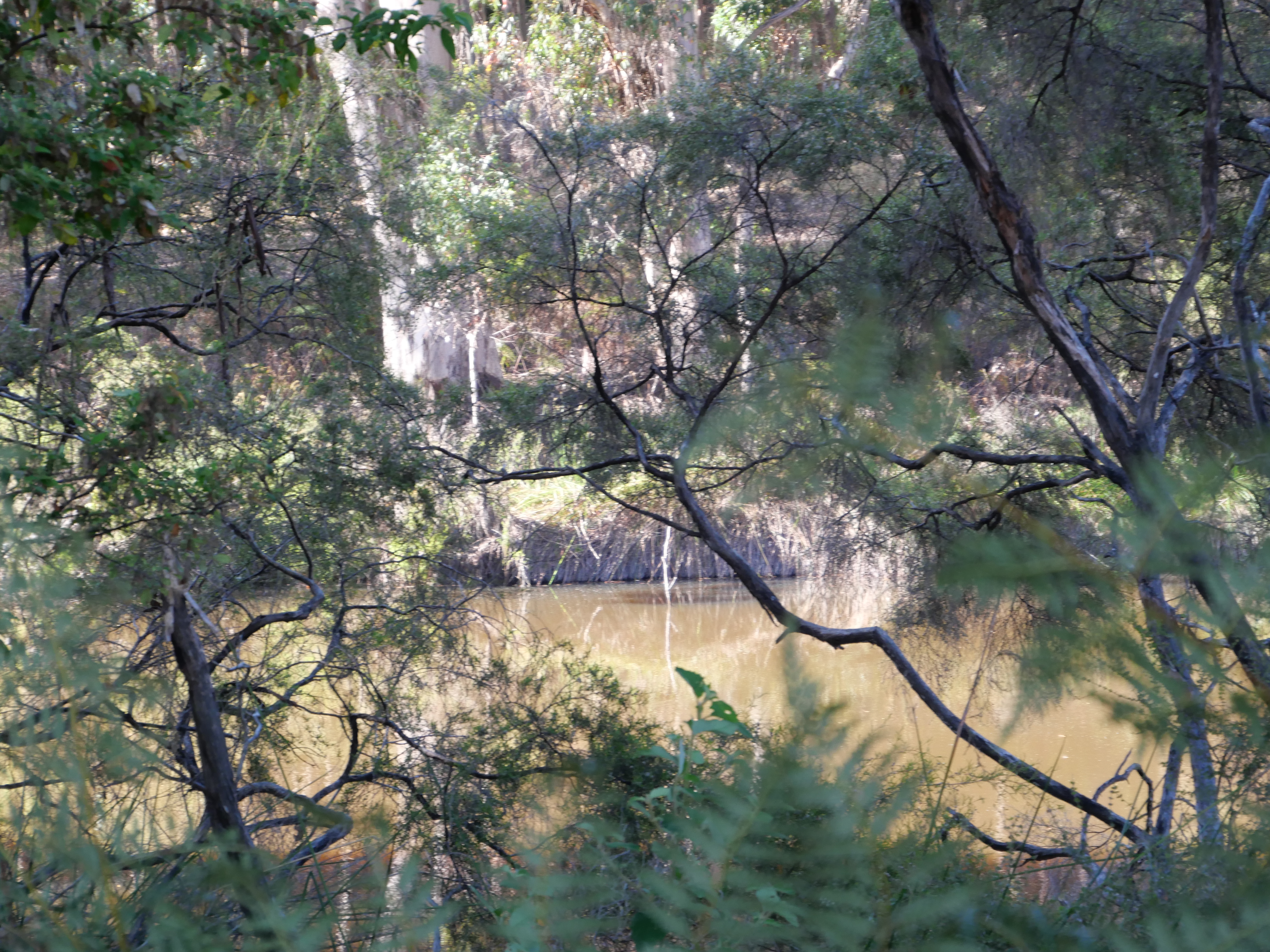 1-bedroom unit at 61 Hayes Road, East Nannup, WA 6275, Nannup, Western Australia