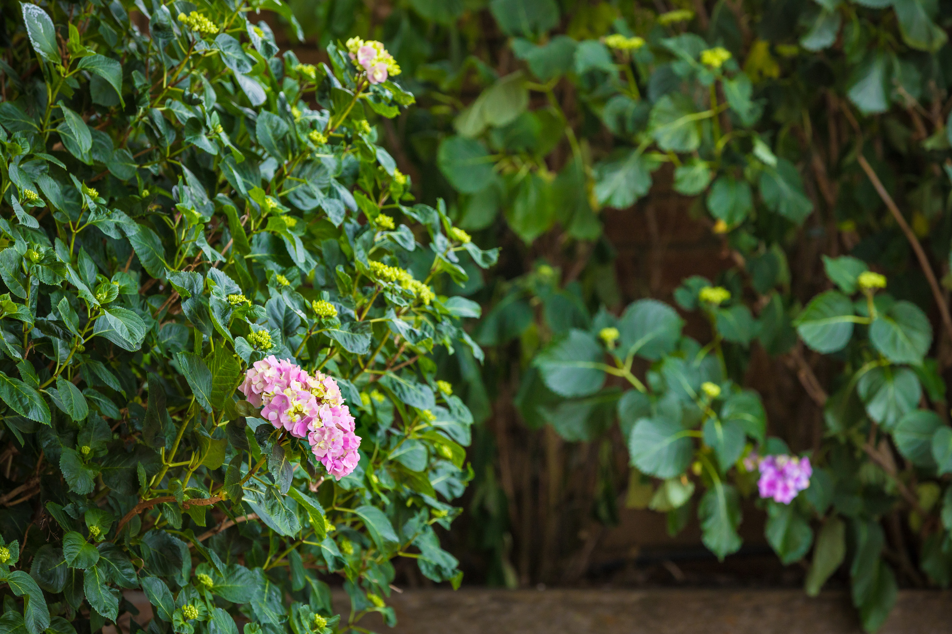 1/158 Pacific Way, Tura Beach, Nsw, 2548 - Image 2