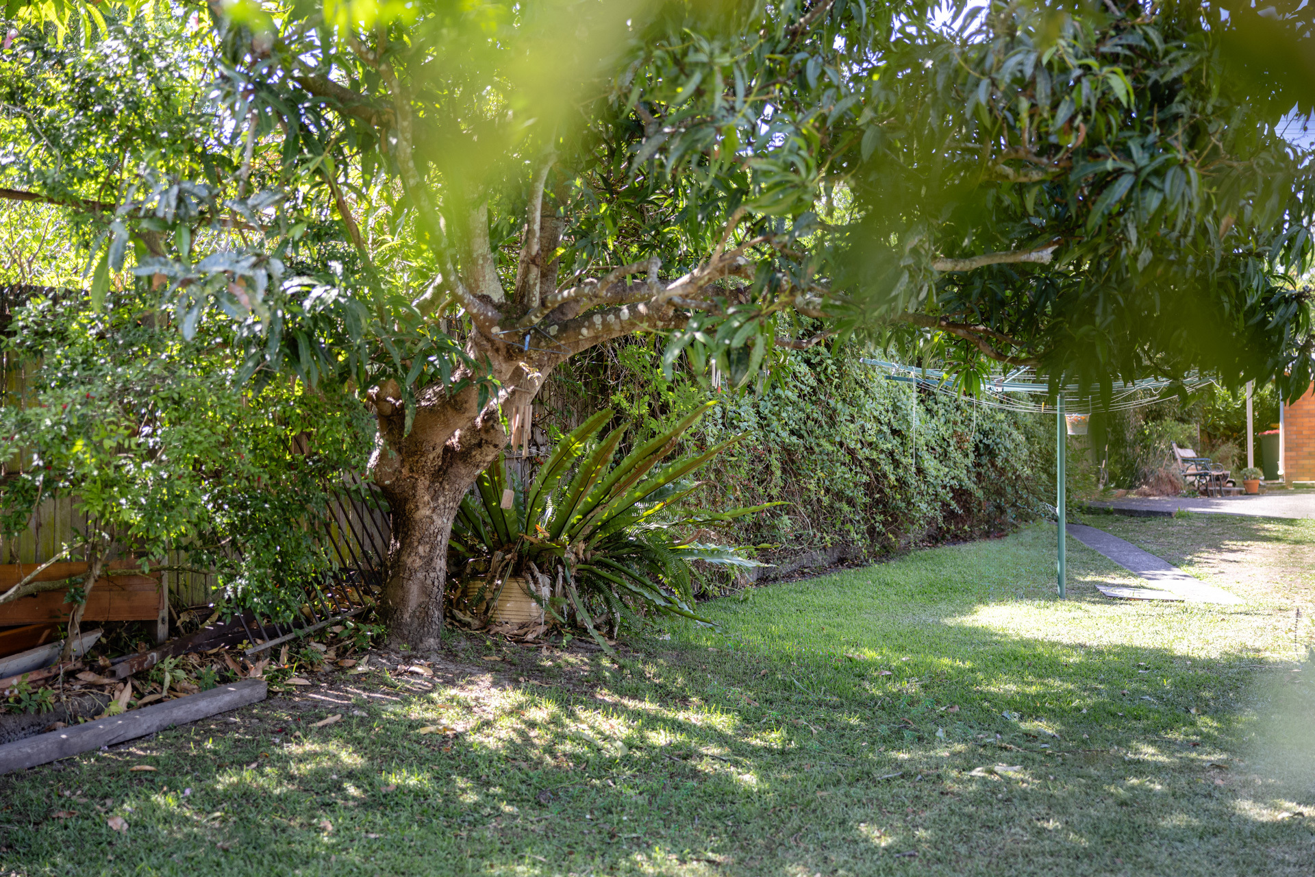 24 Canget Street, Wingham, NSW 2429 - Image 5
