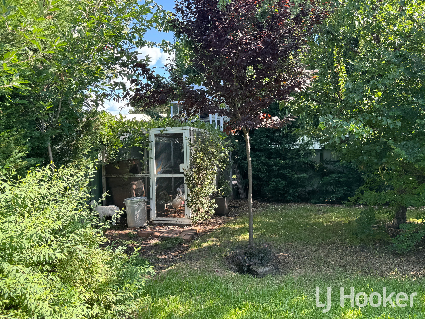 24 High Street, Inverell, NSW 2360 - Image 4