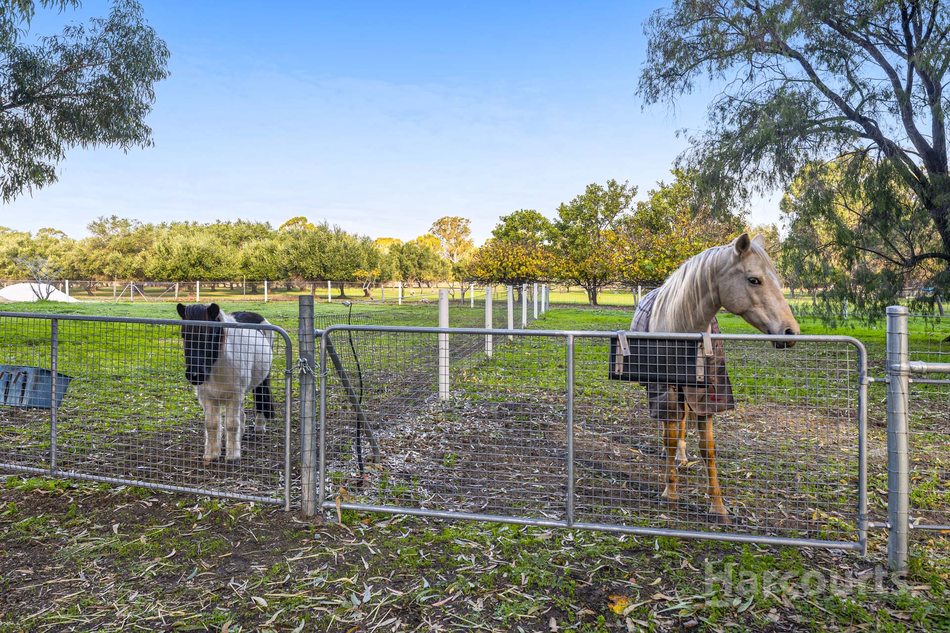 3-bedroom house at 262 Newnham Road, Lake Clifton, WA 6215, Waroona, Western Australia