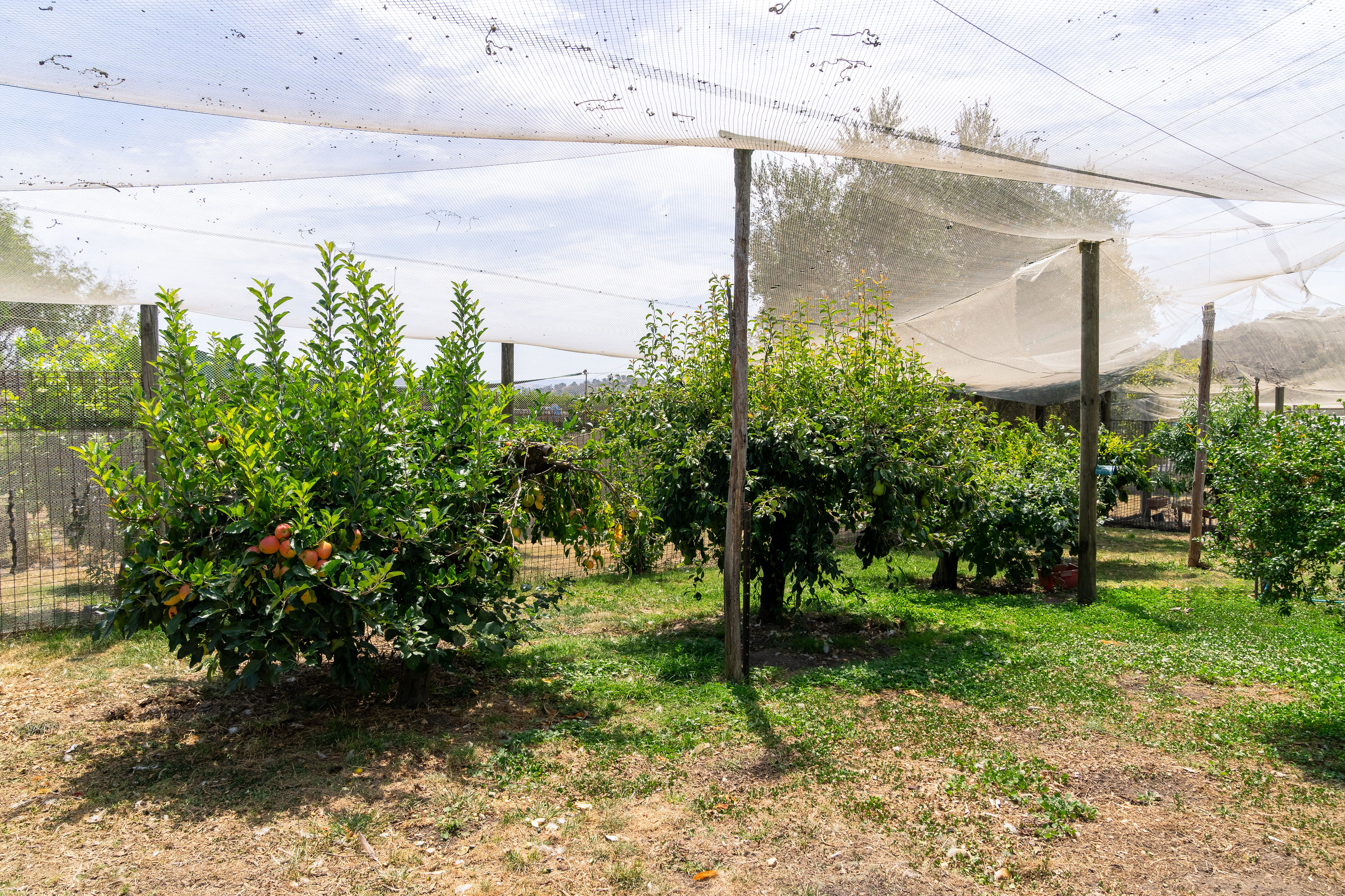 3-bedroom house at 318 RUBICON ROAD, Rubicon VIC 3712, Murrindindi, Victoria