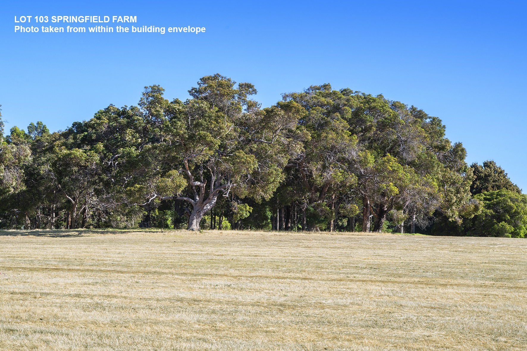 103 Springfield Farm, Yallingup, Wa, 6282 - Image 3