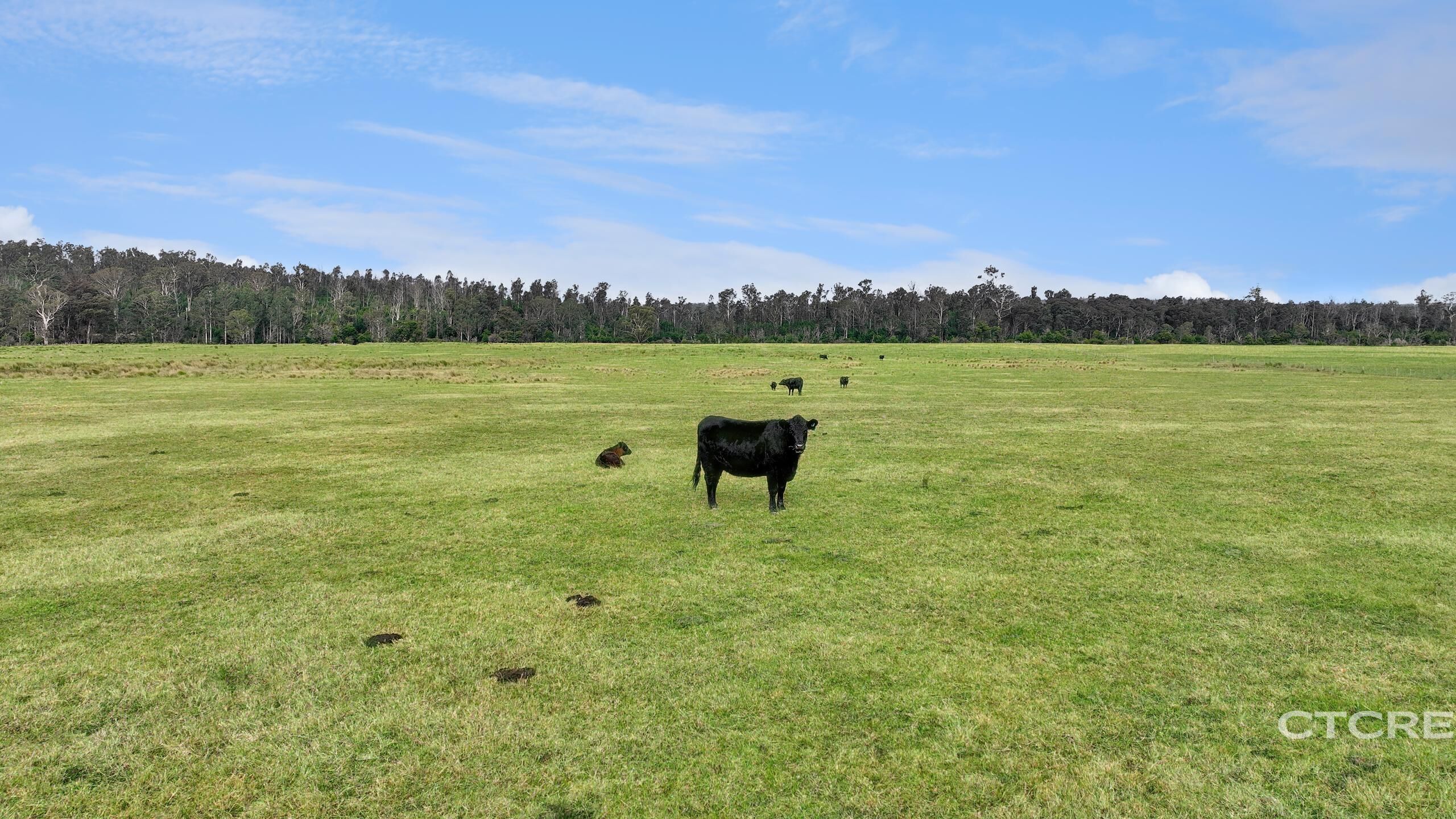 2-bedroom house at 1664 Wangarabell Road, Wangarabell, Vic, 3891, East Gippsland, Victoria