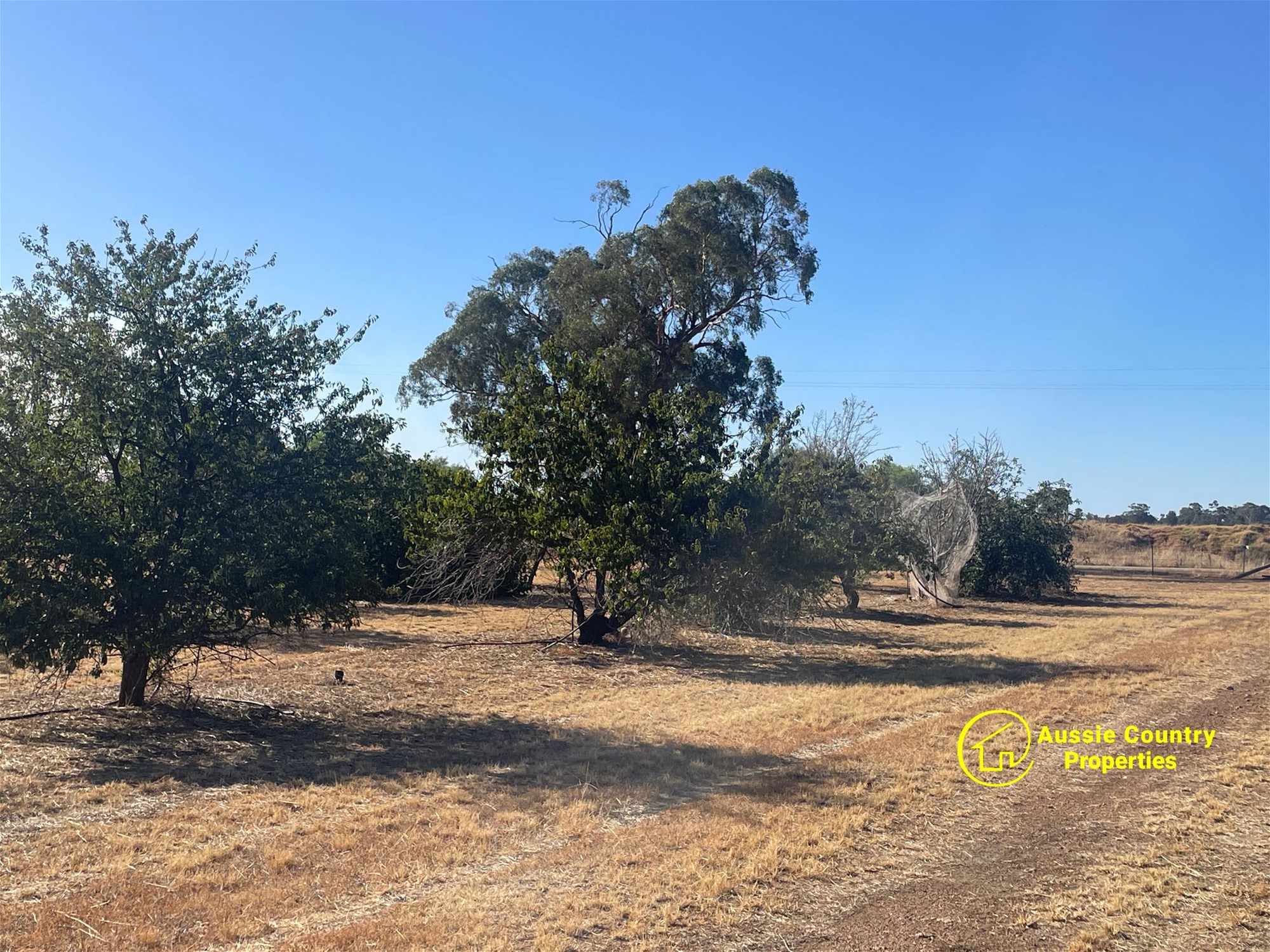 3-bedroom house at 67 Earls Road, Berrigan, NSW 2712, Berrigan, New South Wales