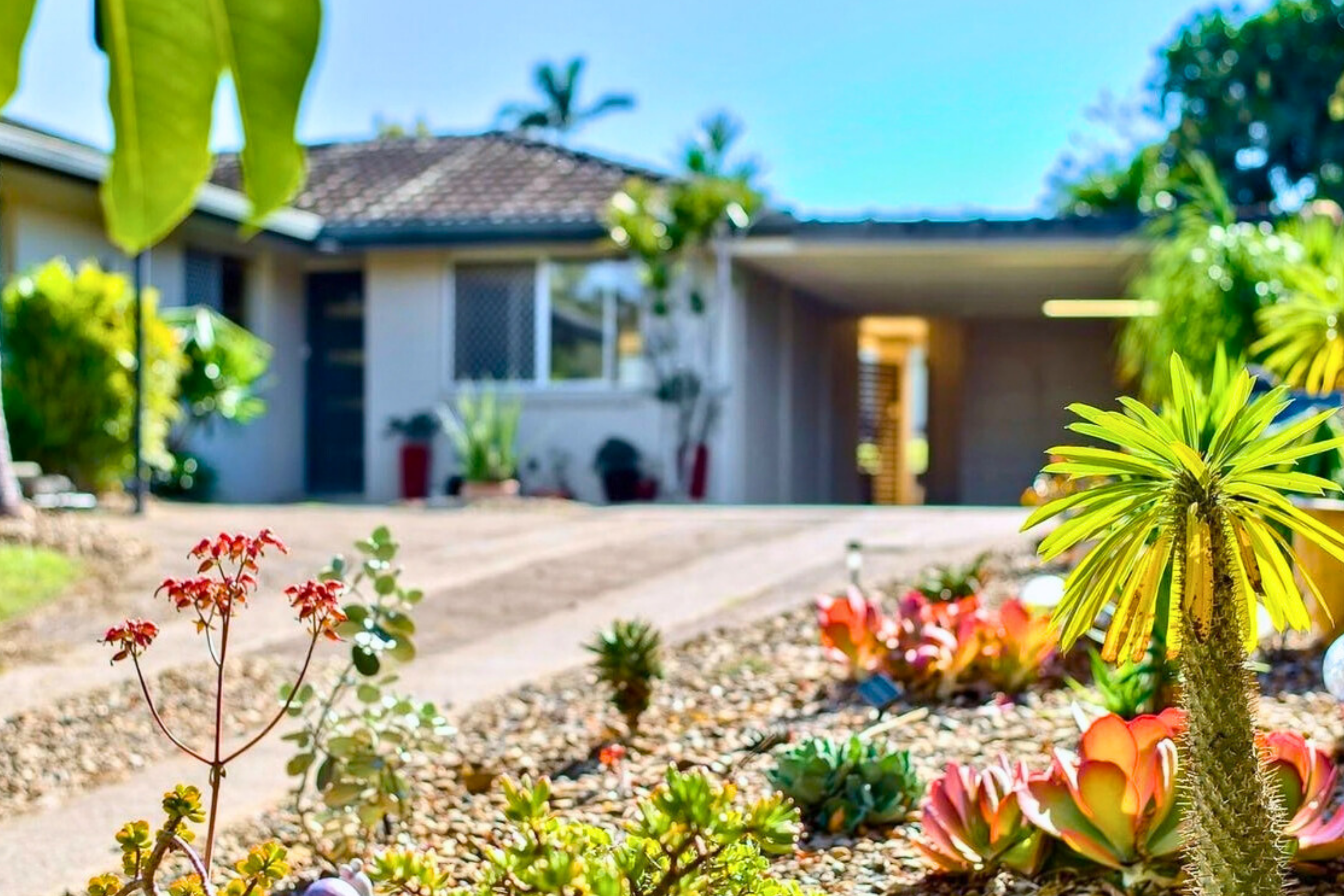 11 IRONBARK CRESCENT, Camira QLD 4300 - Image 1
