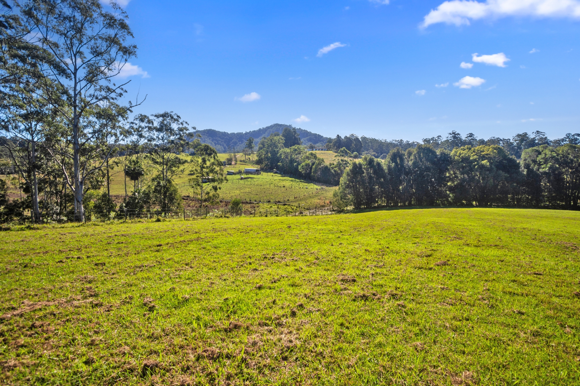 Lots 4-11 Soldier Settlers Road, Newee Creek, Nsw, 2447 - Image 10