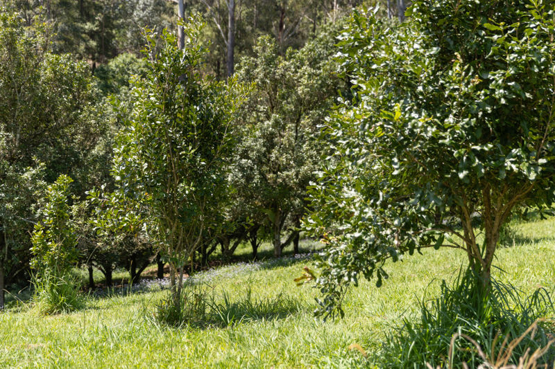 Lot 14 Highfield Road, Valla, Nsw, 2448 - Image 6
