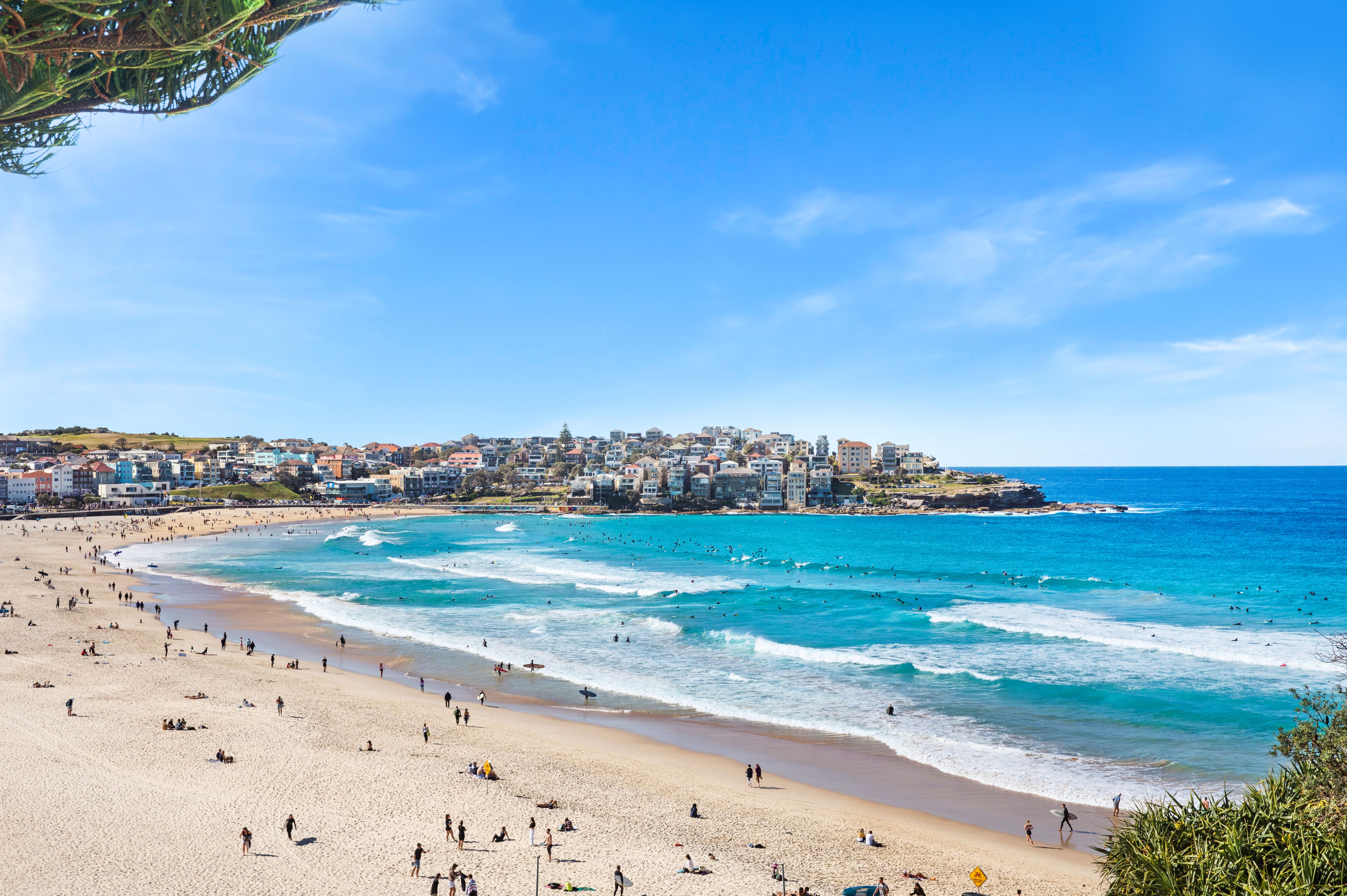 11 34A FLETCHER STREET, BONDI NSW 2026 - Image 8