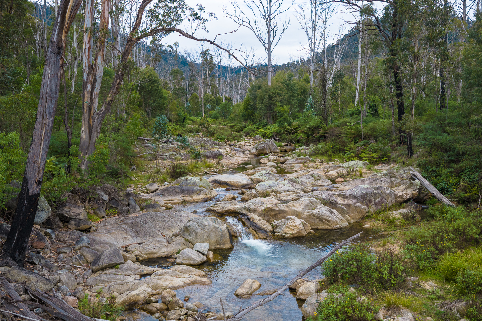 4-bedroom house at KOOROOL 1227 TANTAWANGALO MOUNTAIN ROAD, TANTAWANGALO NSW 2550, Bega Valley, New South Wales