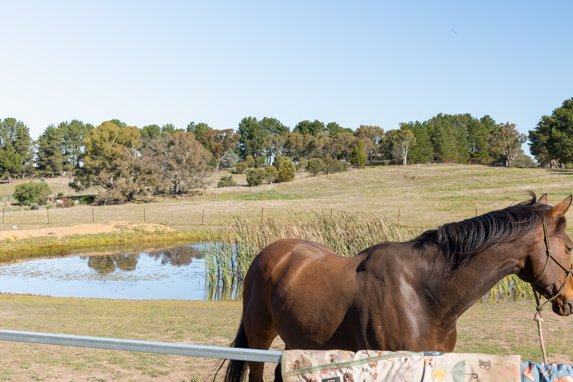 5-bedroom house at 1181 Bungendore Road, Bywong, NSW 2621, Queanbeyan-Palerang, New South Wales