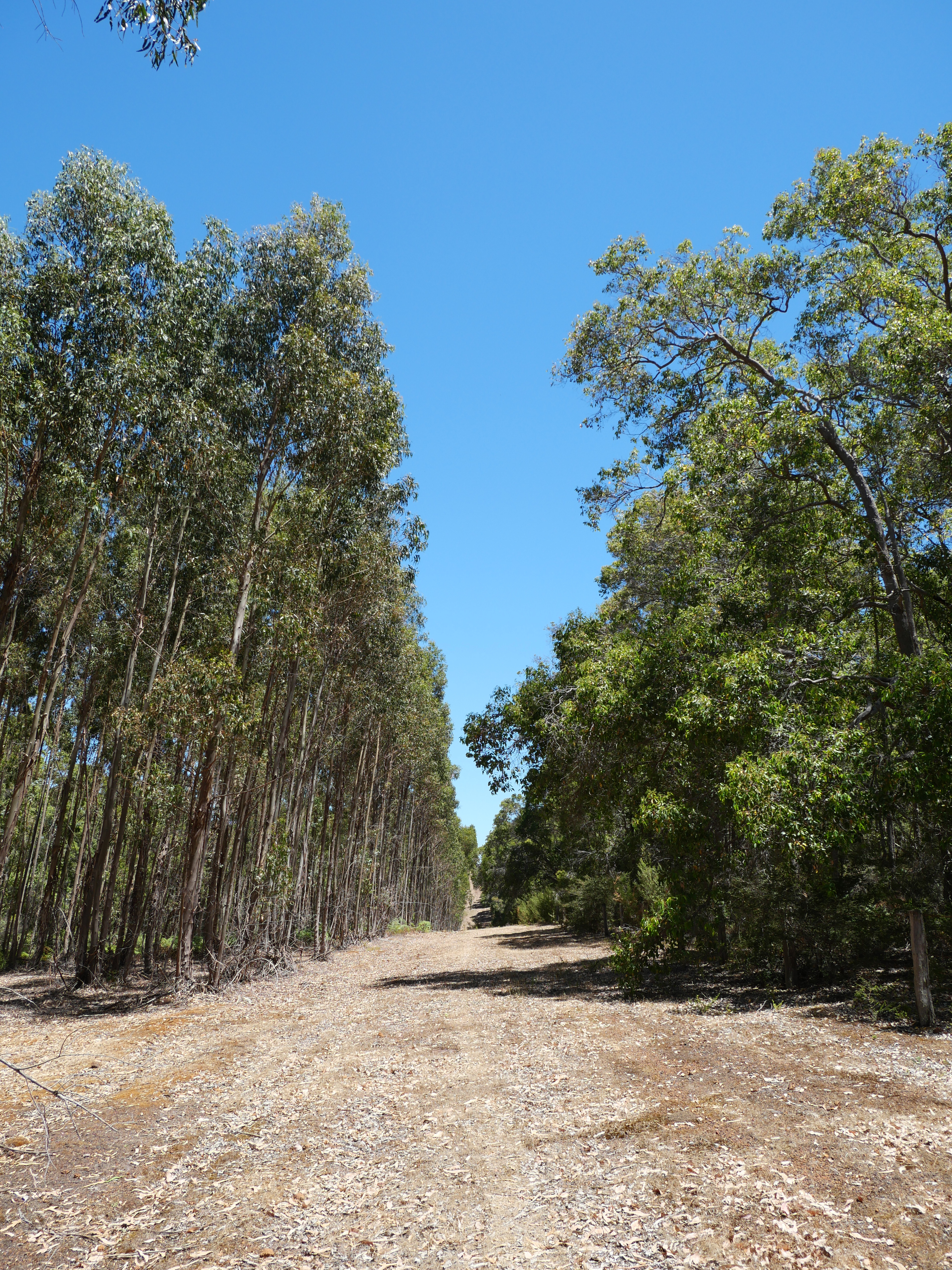 1-bedroom unit at 61 Hayes Road, East Nannup, WA 6275, Nannup, Western Australia