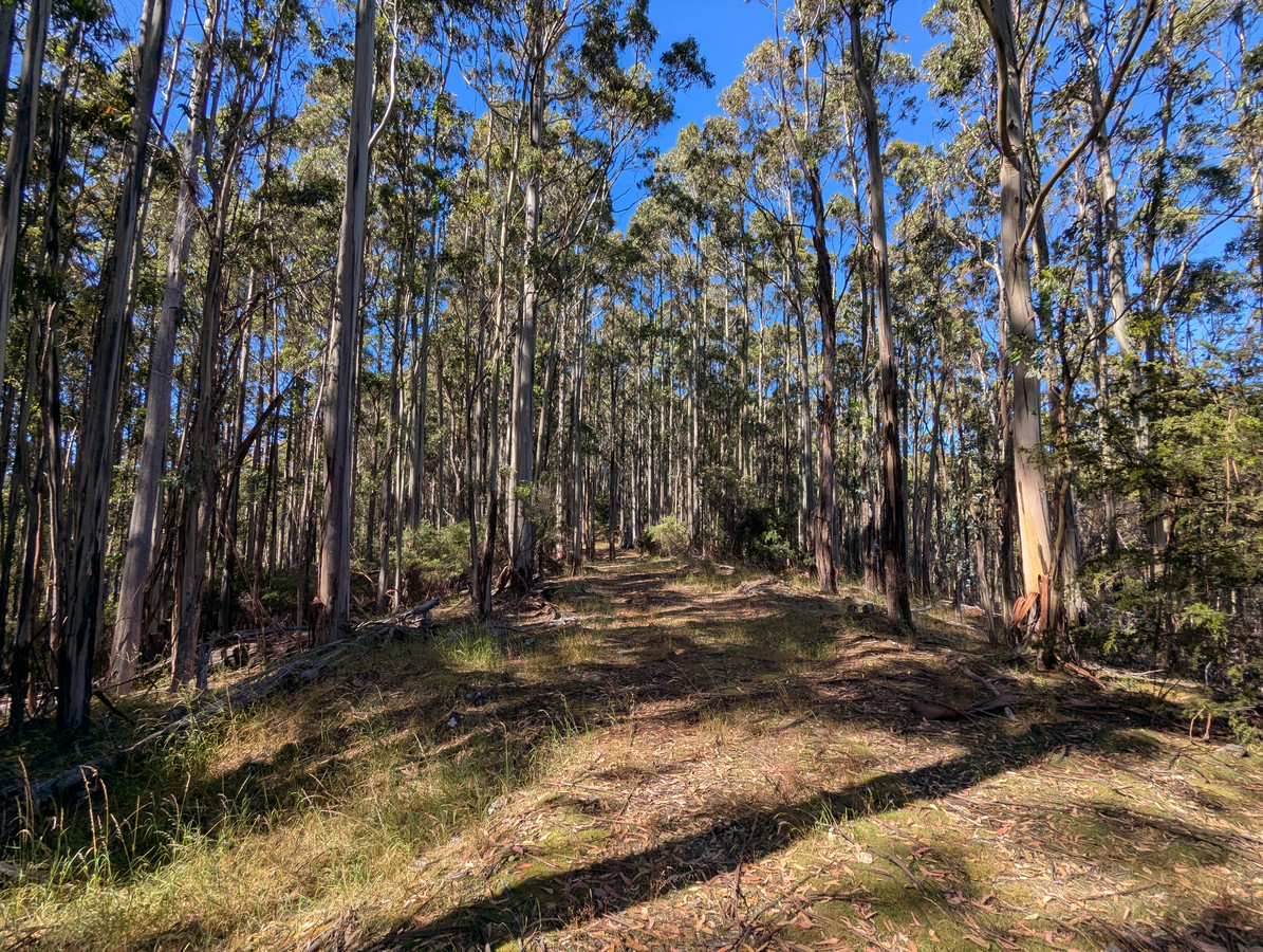 3 Nicholls Rivulet Road, Nicholls Rivulet, Tas, 7112 - Image 2