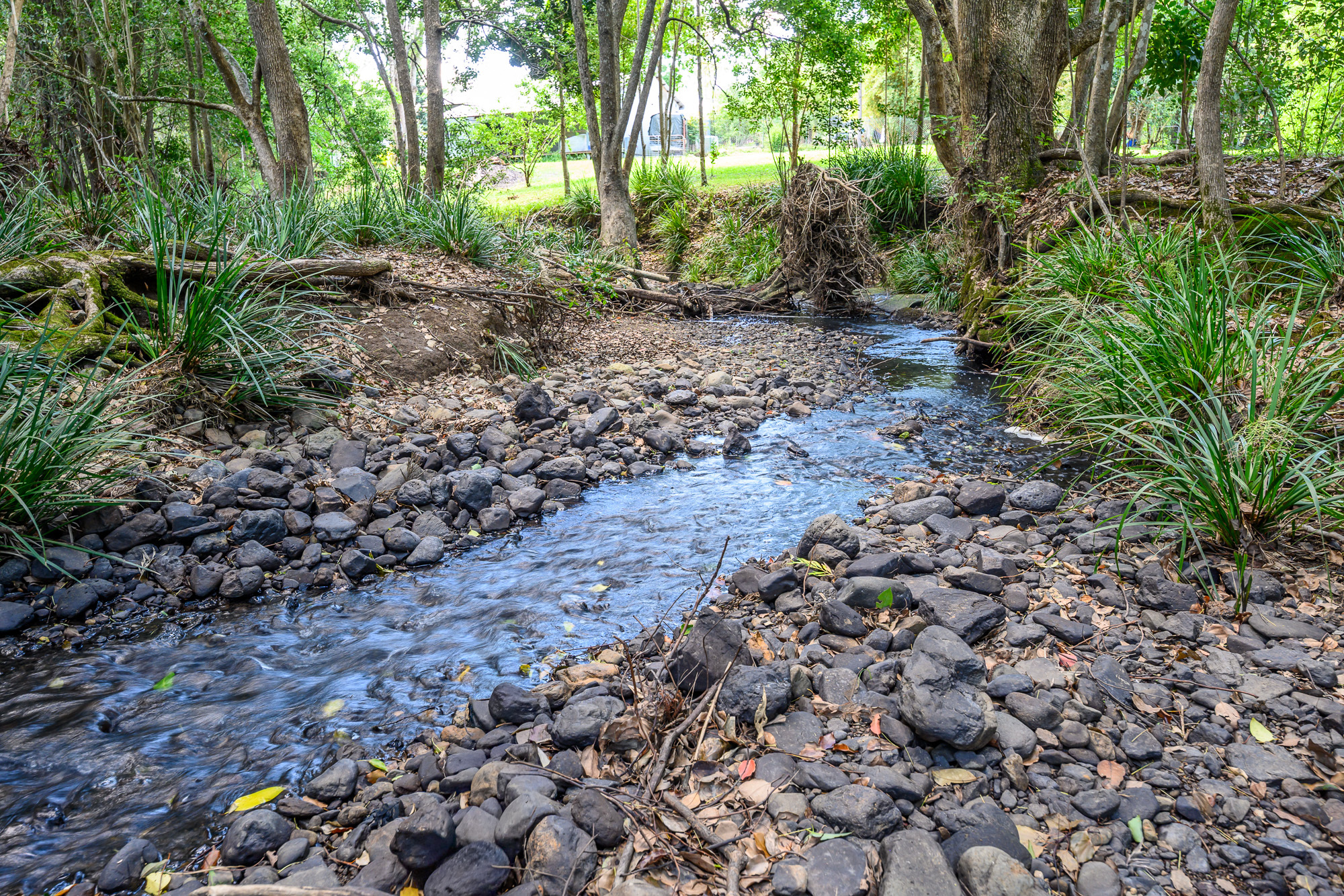 2-bedroom house at 38 Cooloon Street, Kunghur, NSW 2484, Tweed, New South Wales