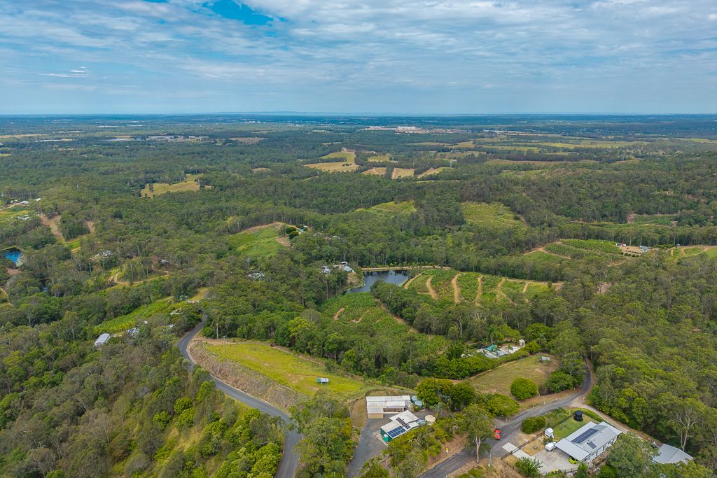 349 Jackson Road, Wamuran, Qld, 4512 - Image 3