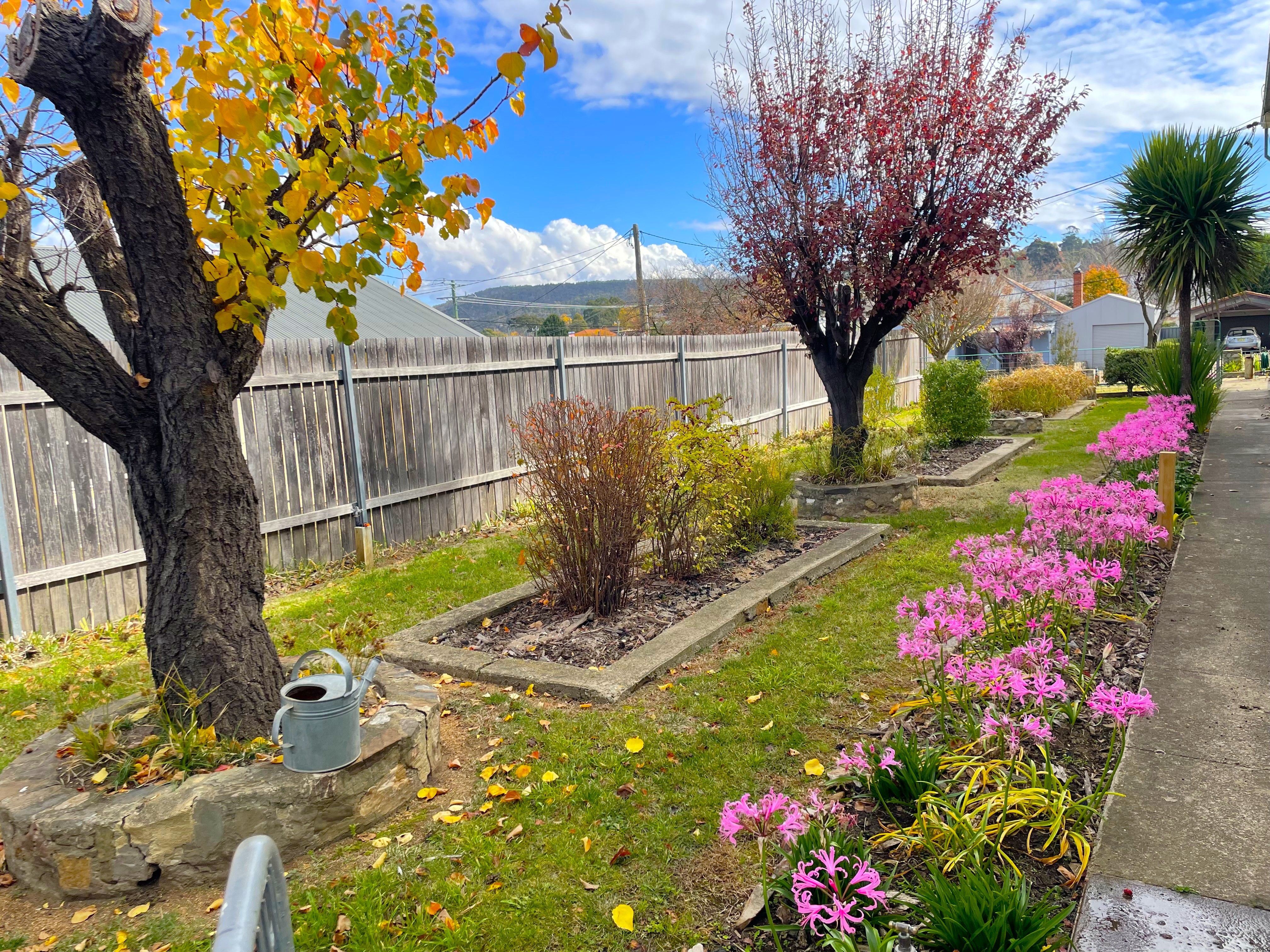 5-bedroom house at 32 Commissioner Street, Cooma, NSW 2630, Snowy Monaro, New South Wales