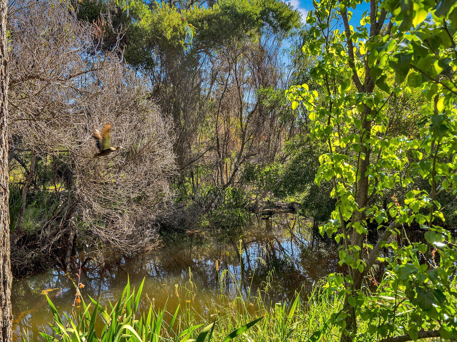 590 Walker Street, Mundaring, WA 6073 - Image 4